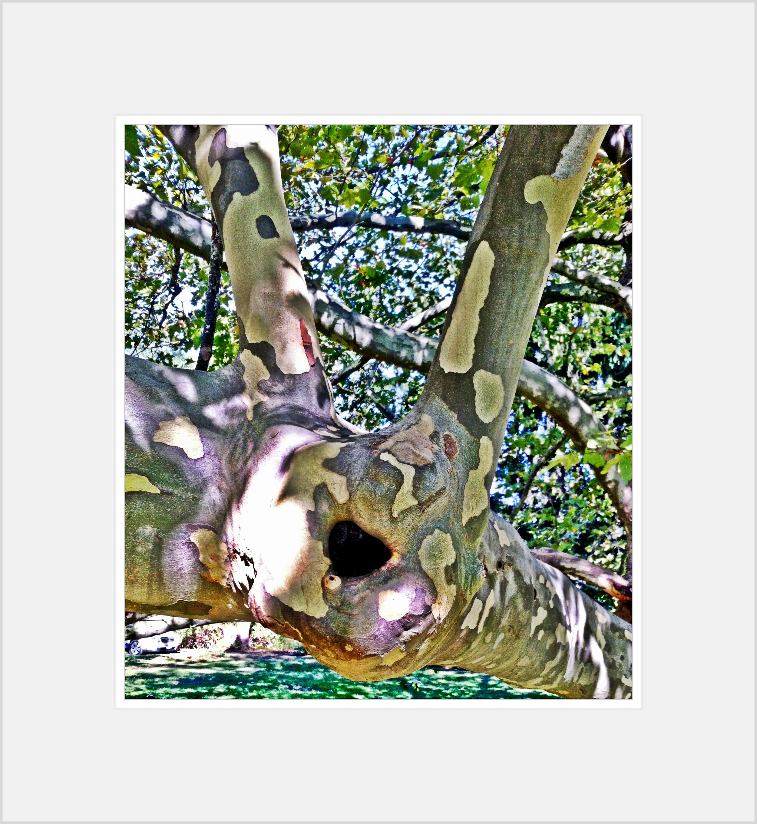 2013-05-17 001 137.JPG