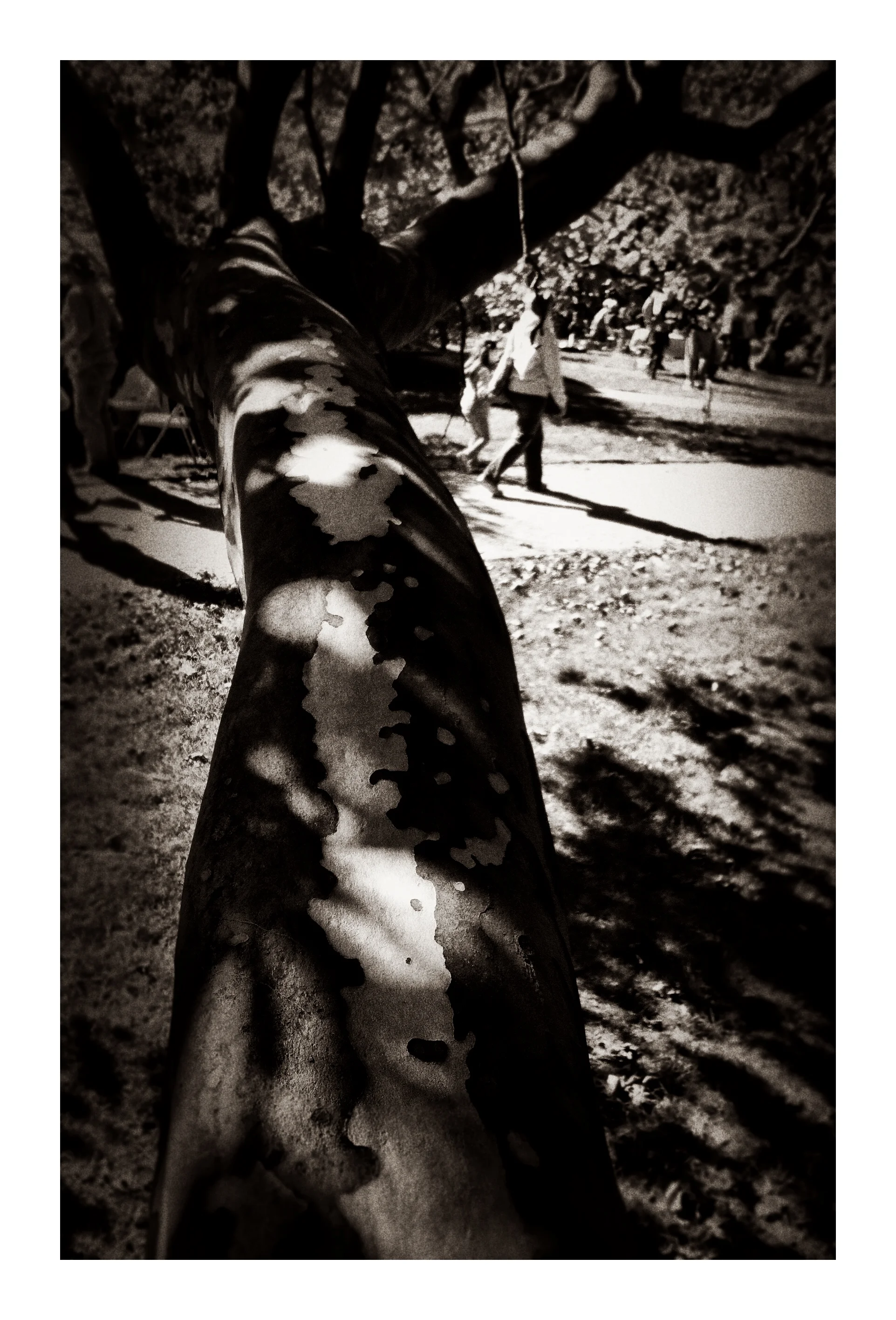 2013-05-17 001 141.JPG