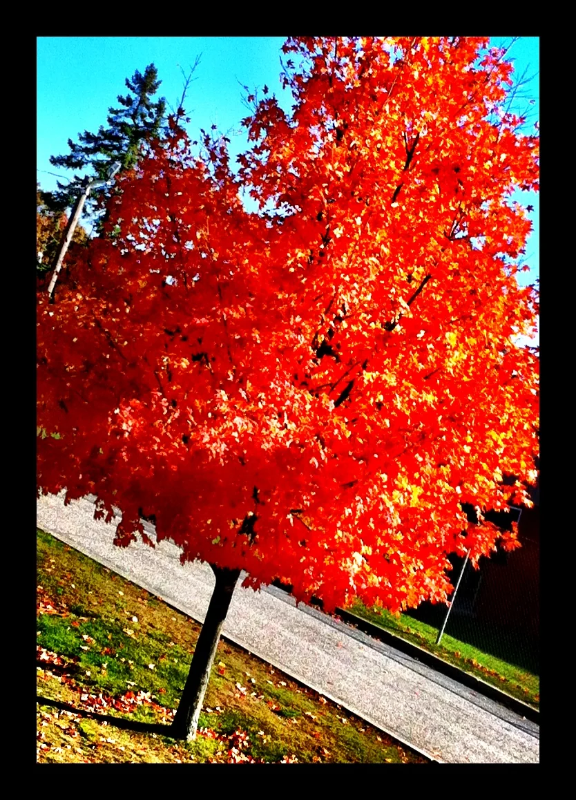 2013-05-17 001 169.JPG