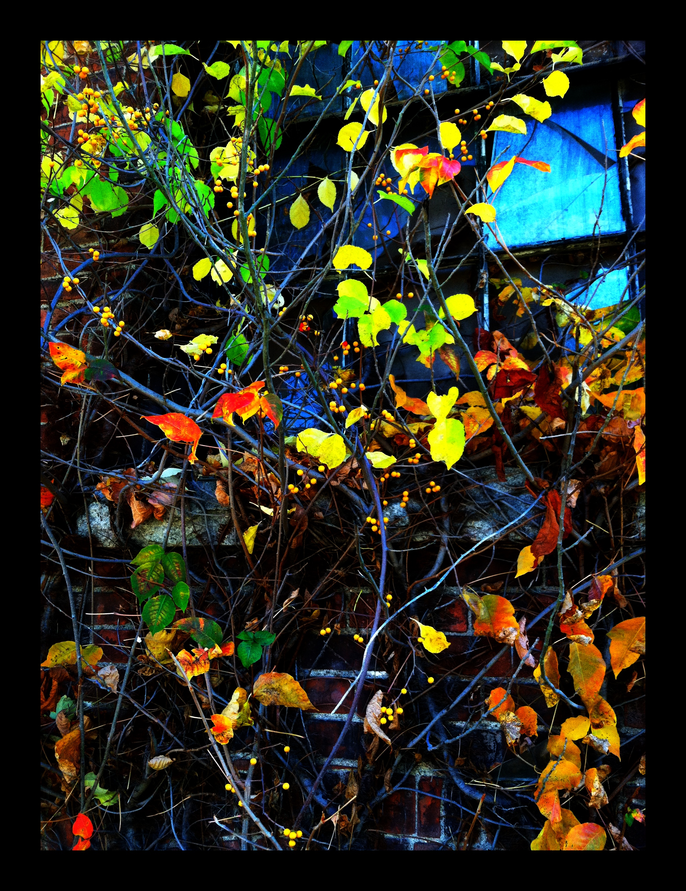 2013-05-17 001 177.JPG