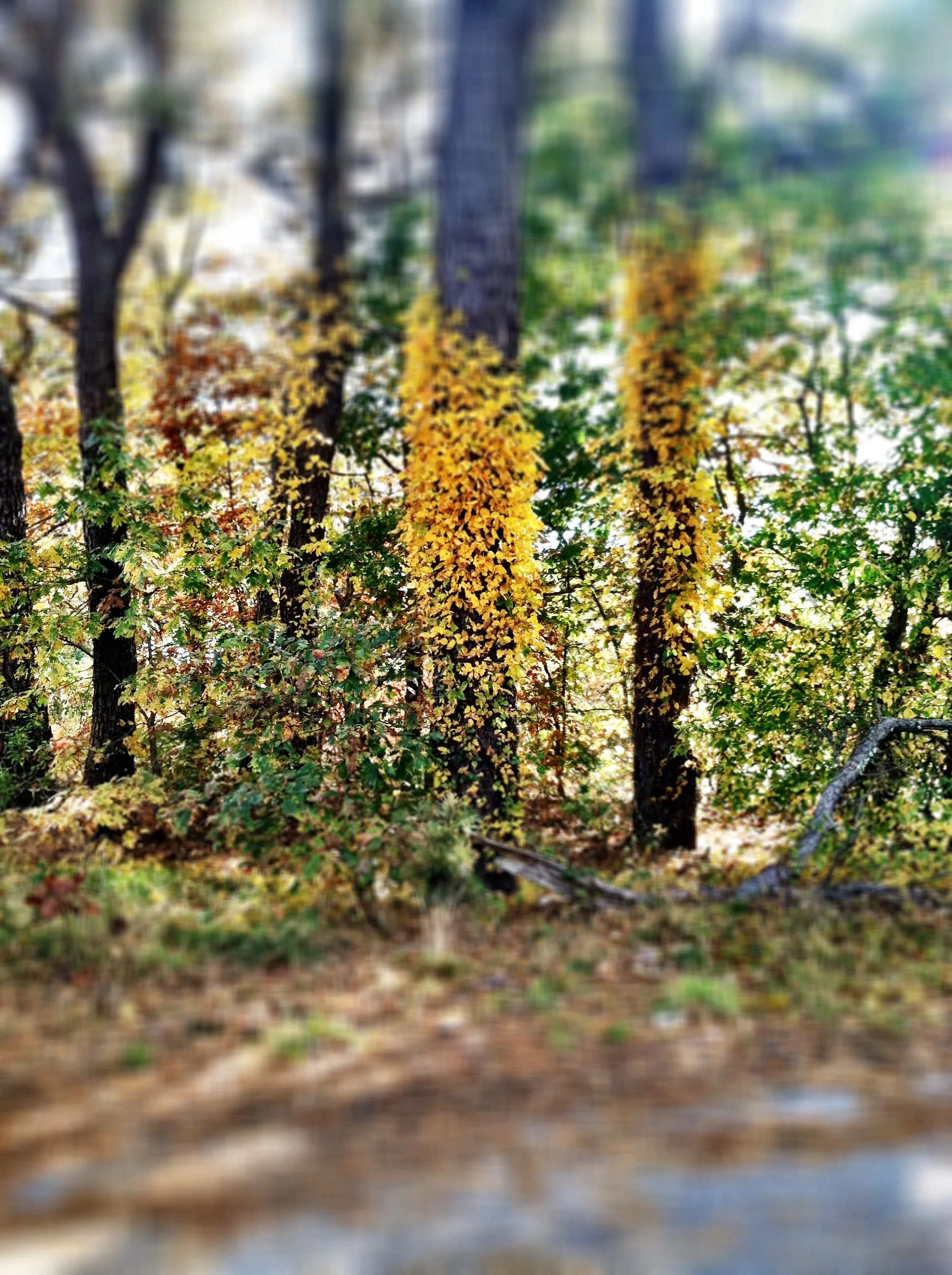 2013-05-17 001 186.JPG