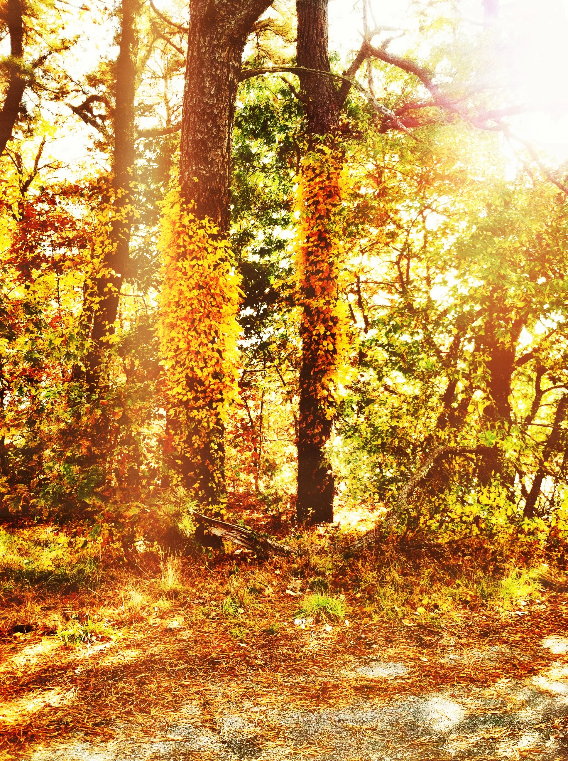 2013-05-17 001 187.JPG