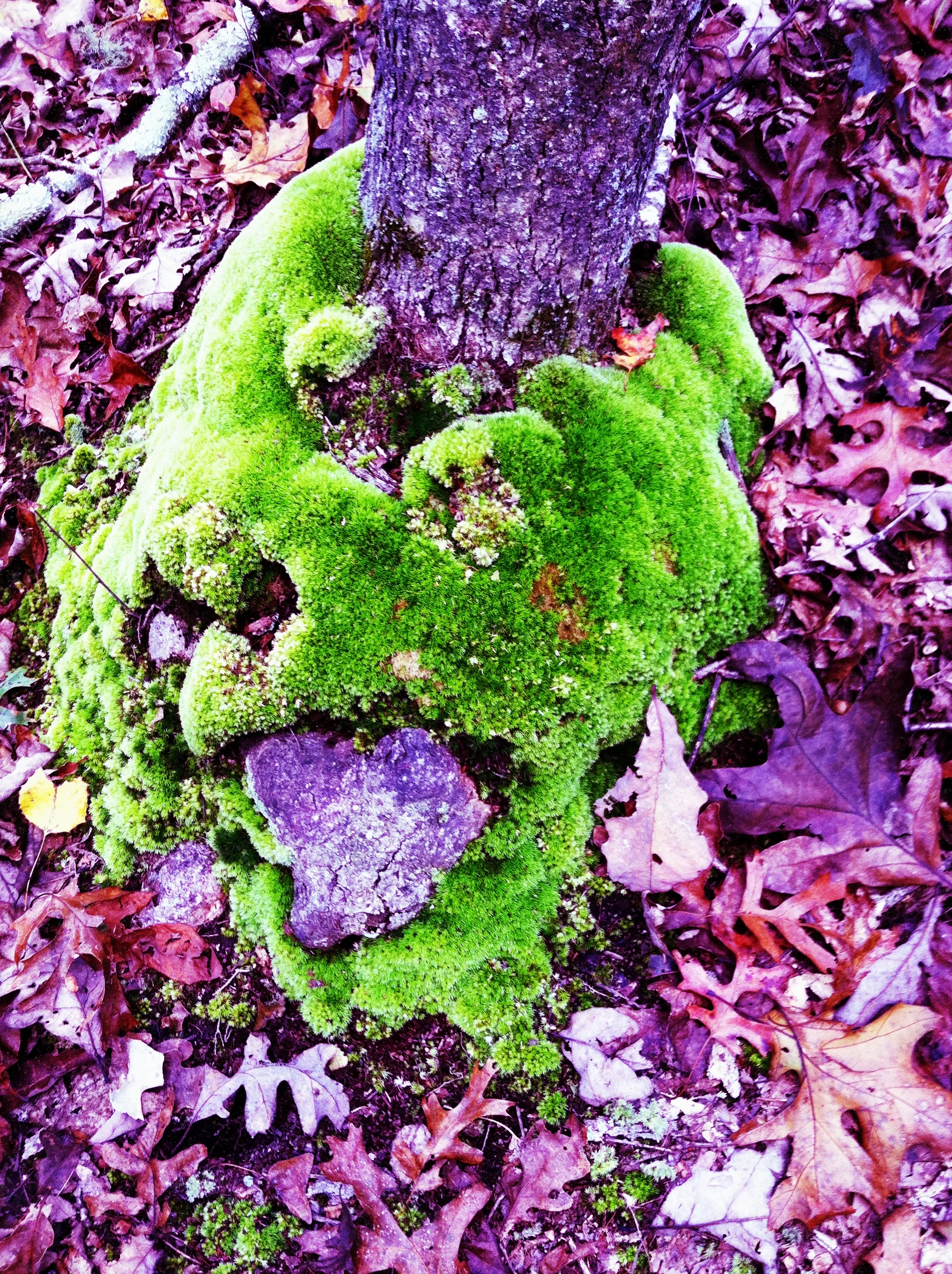 2013-05-17 001 215.JPG