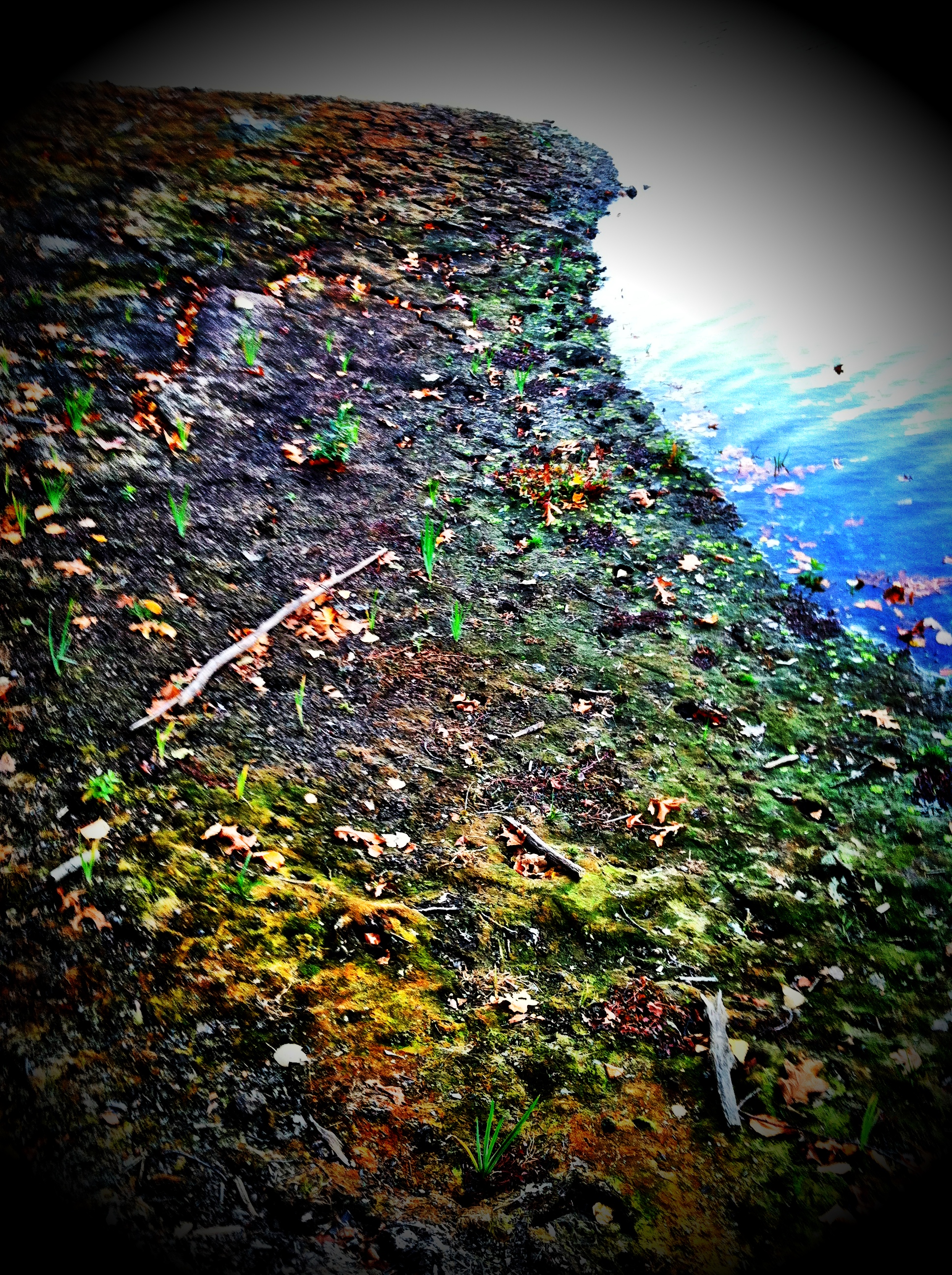 2013-05-17 001 254.JPG