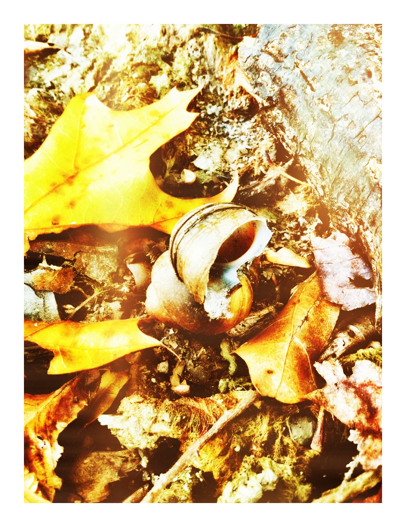 2013-05-17 001 275.JPG