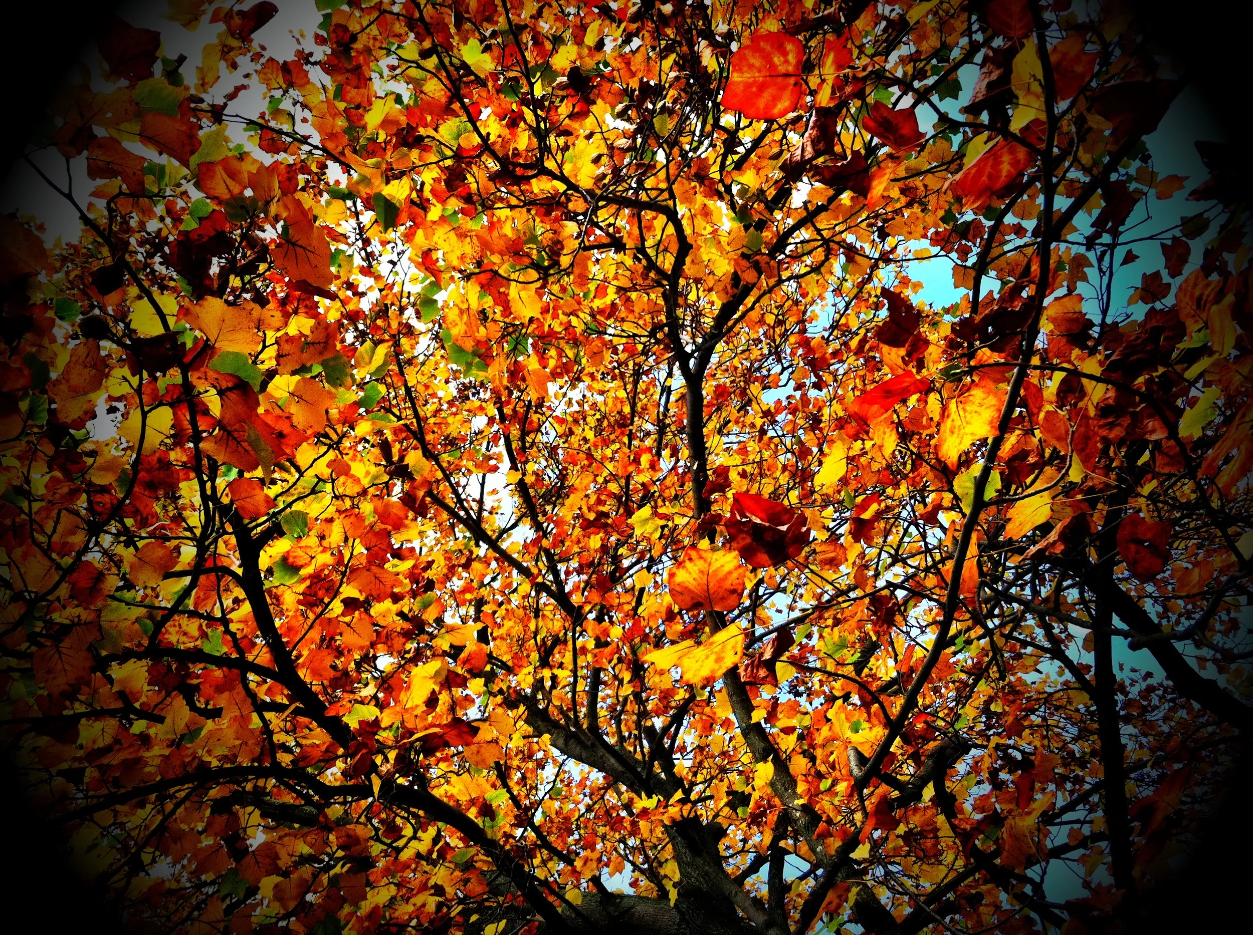 2013-05-17 001 390.JPG