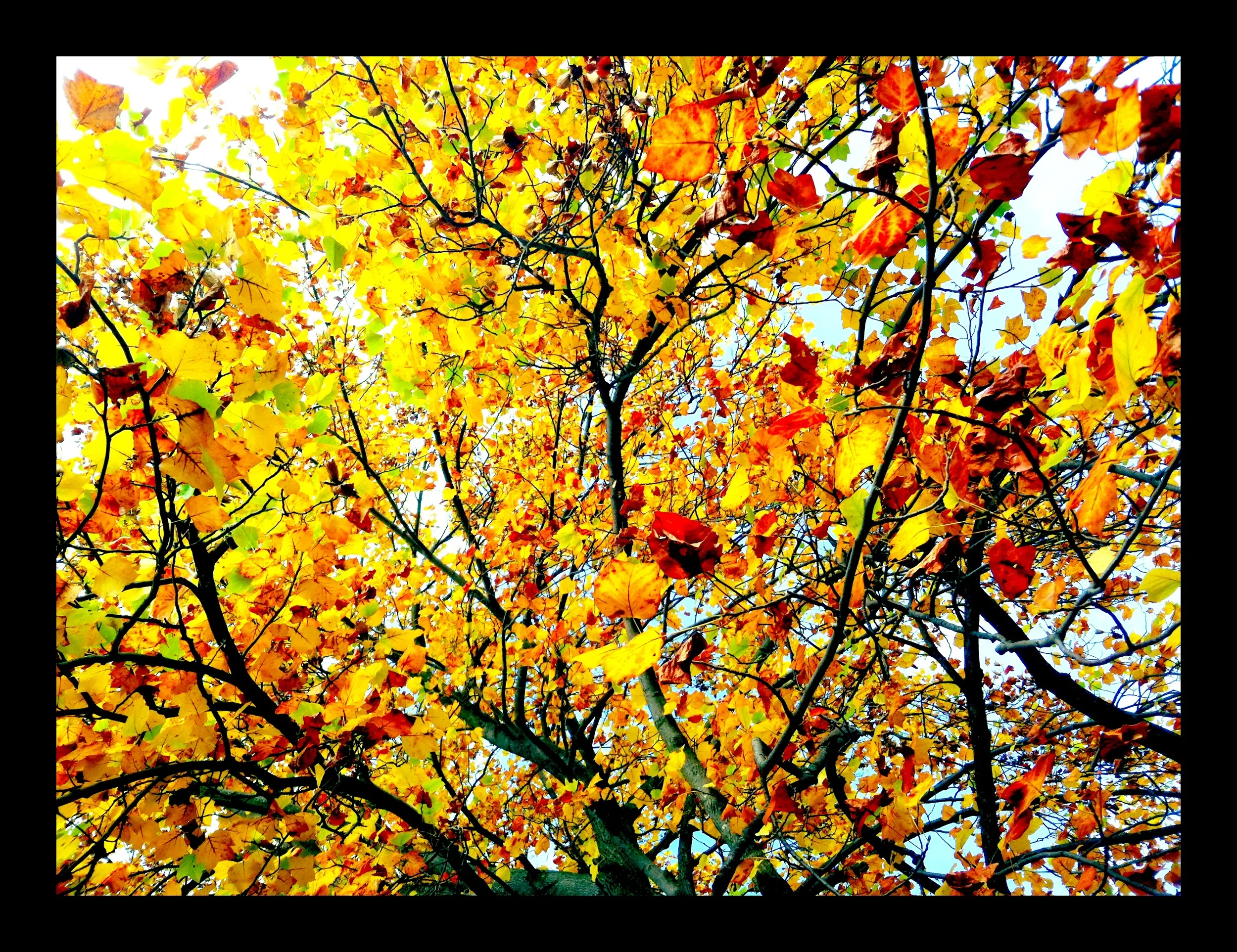 2013-05-17 001 391.JPG