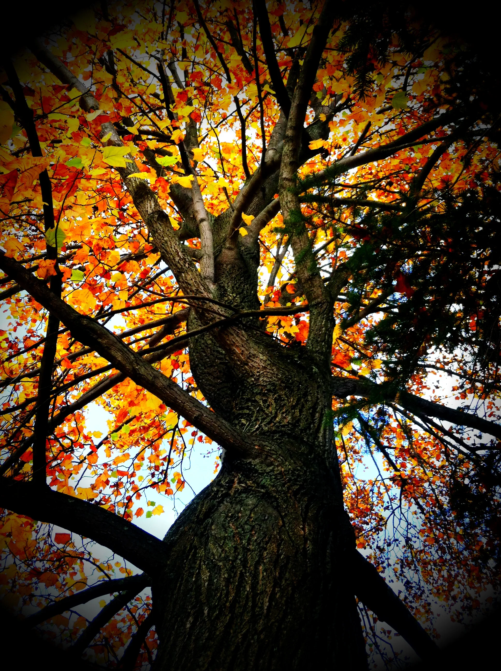 2013-05-17 001 392.JPG