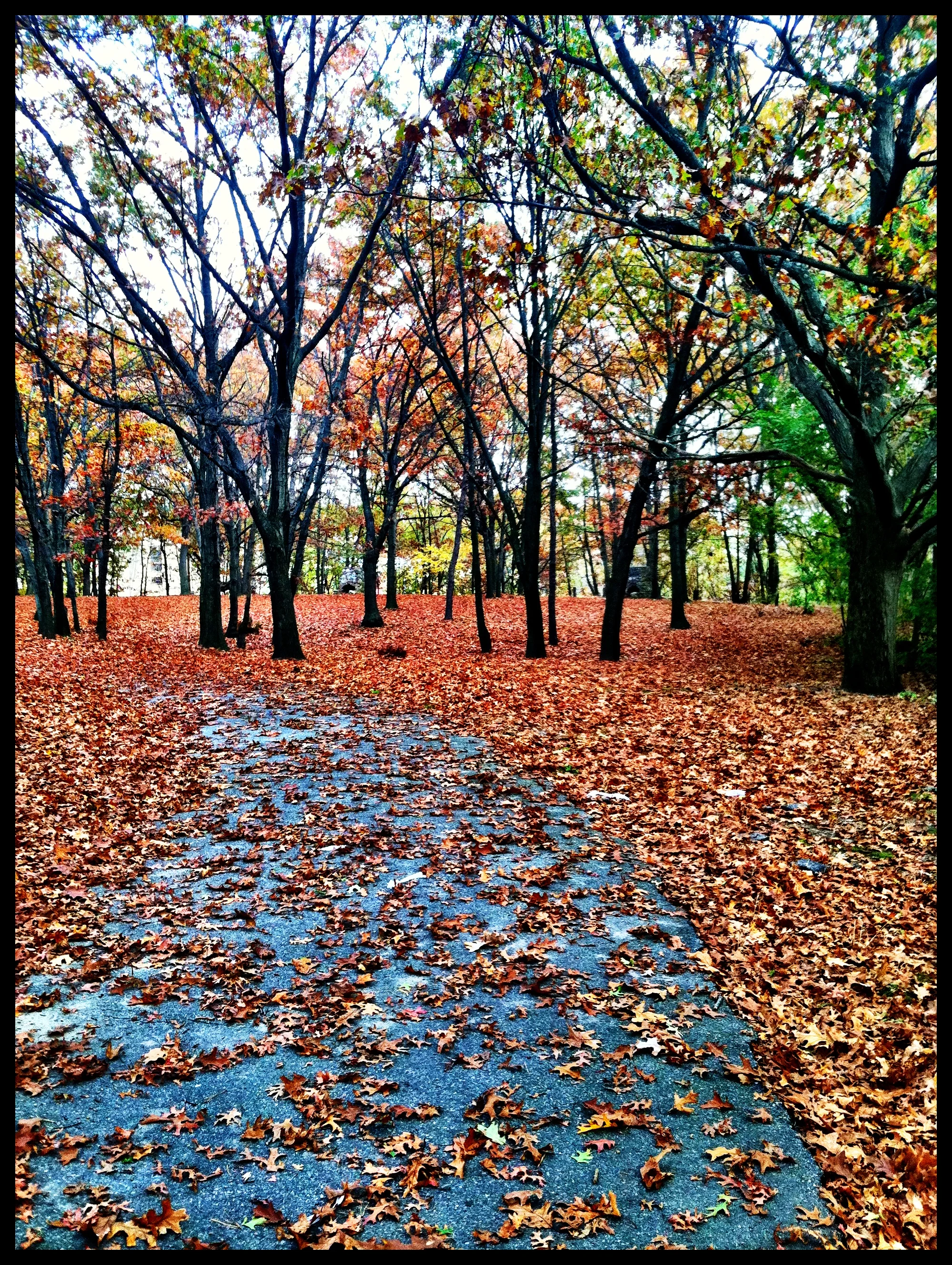 2013-05-17 001 393.JPG