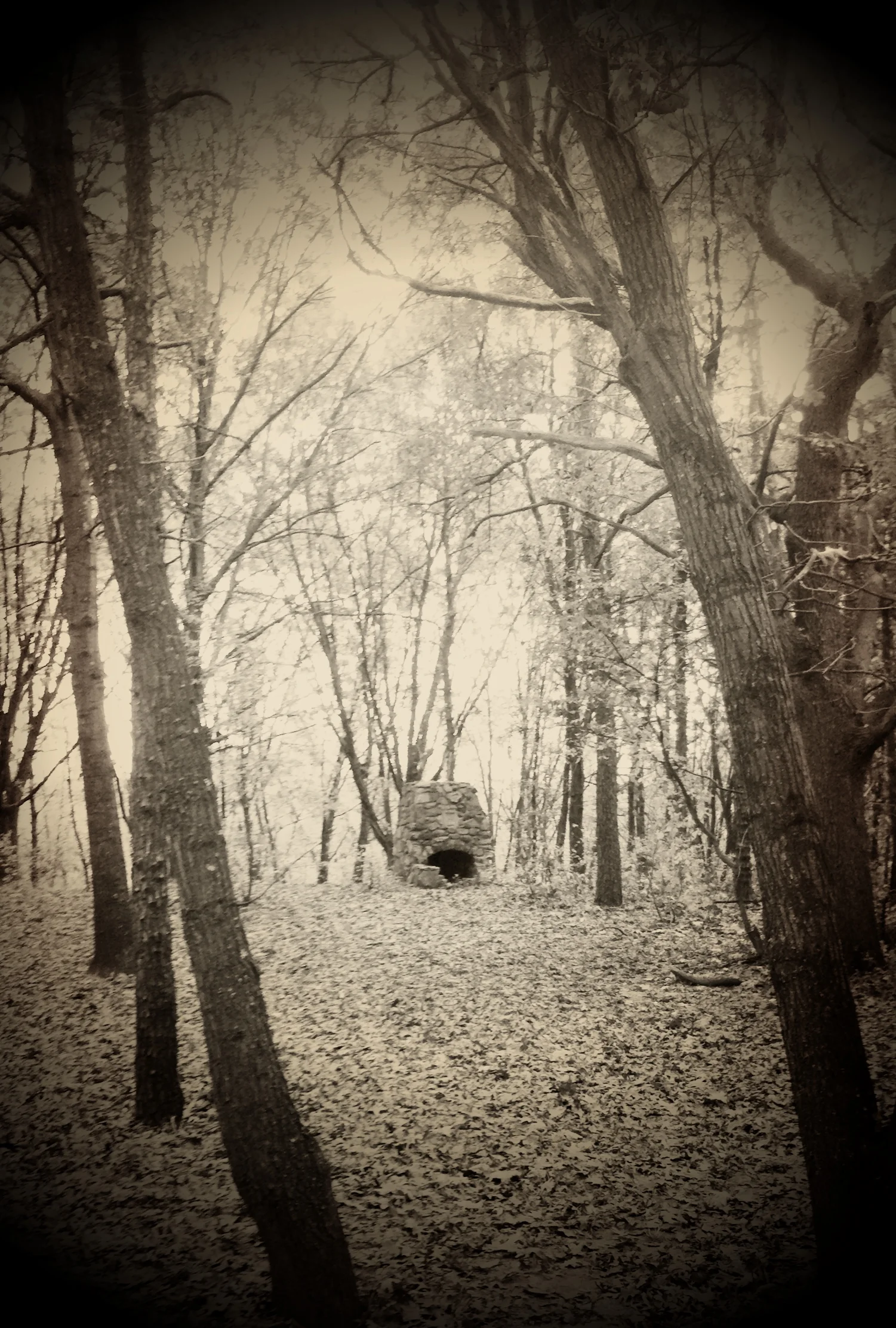 2013-05-17 001 394.JPG