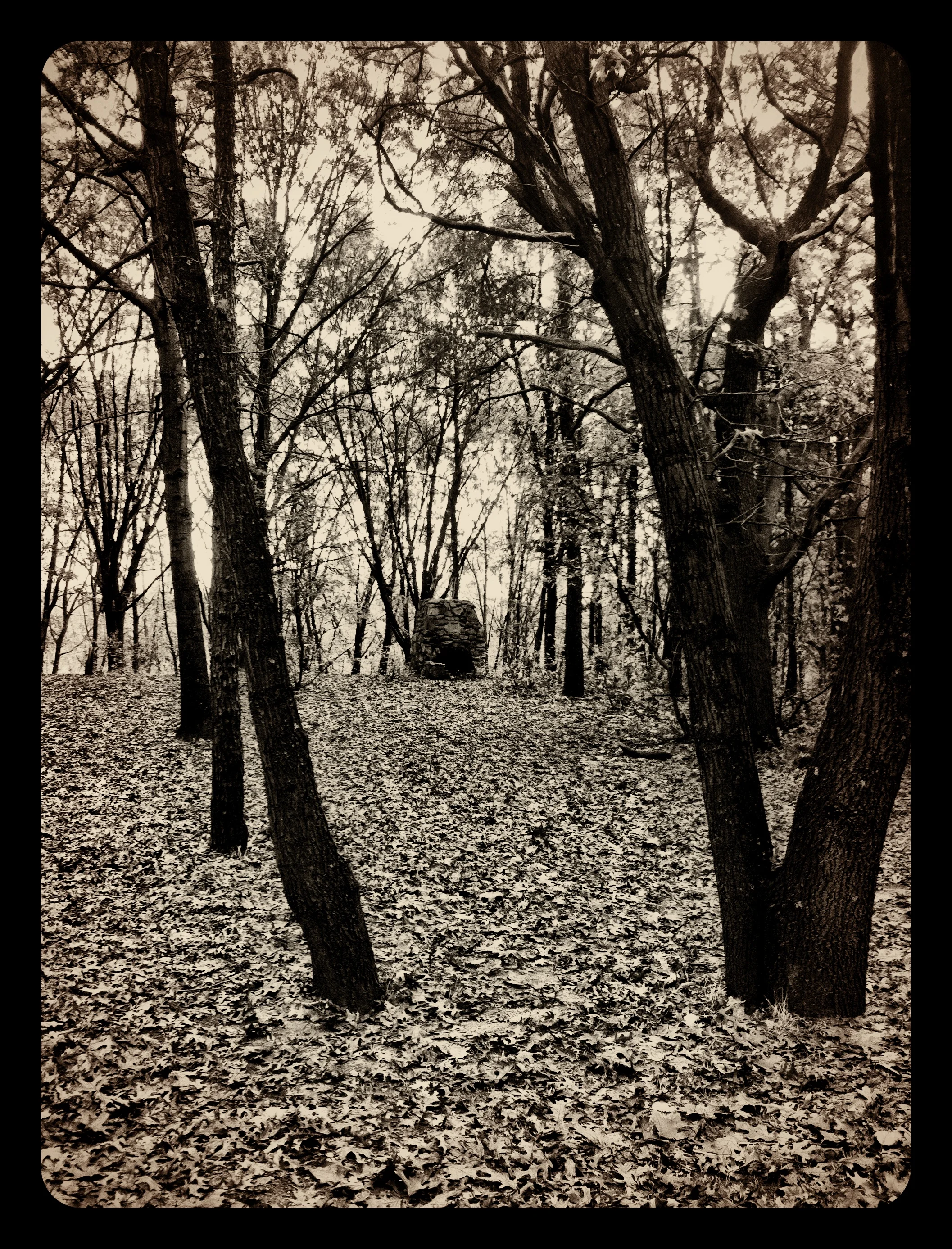 2013-05-17 001 395.JPG