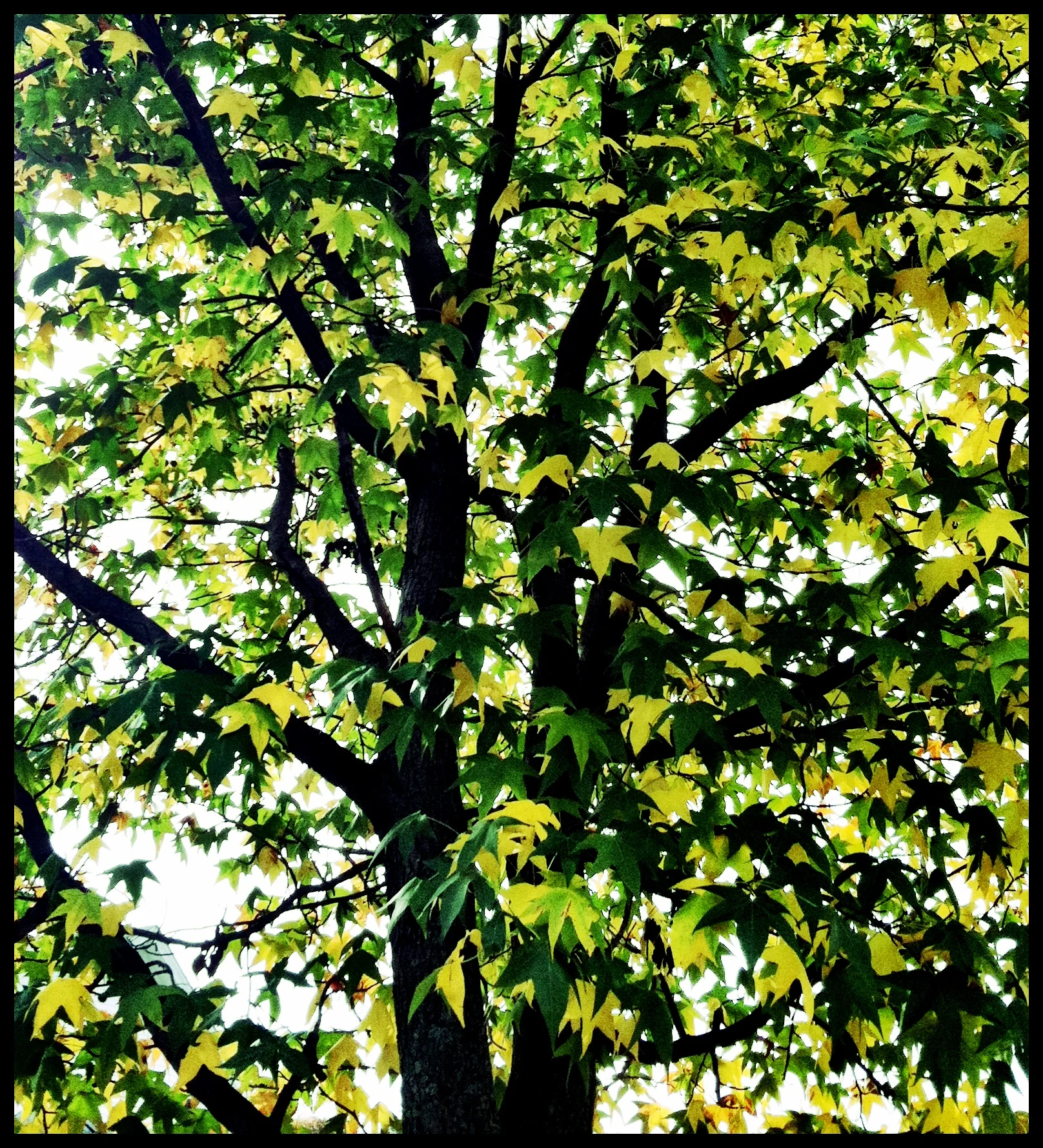 2013-05-17 001 397.JPG