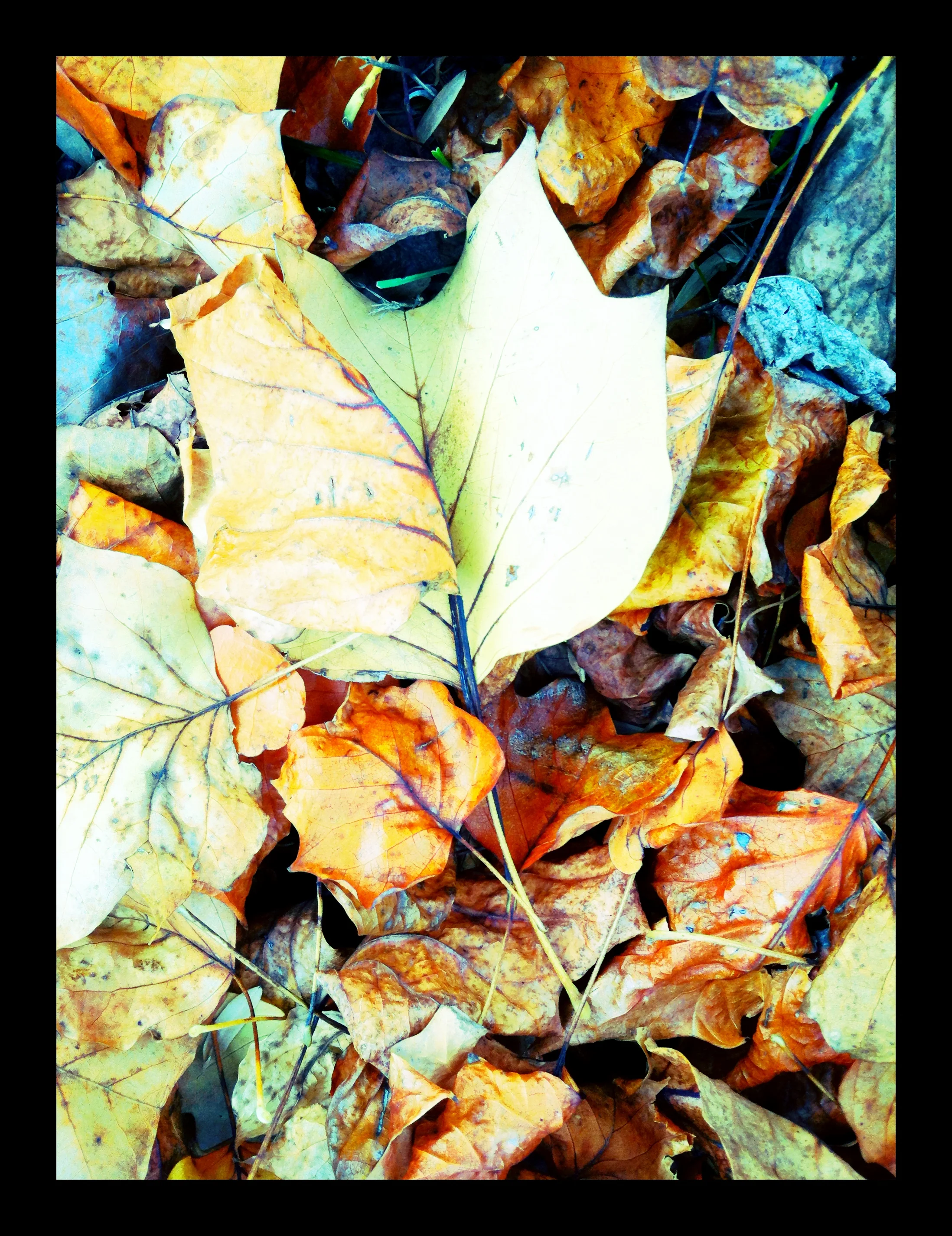 2013-05-17 001 436.JPG