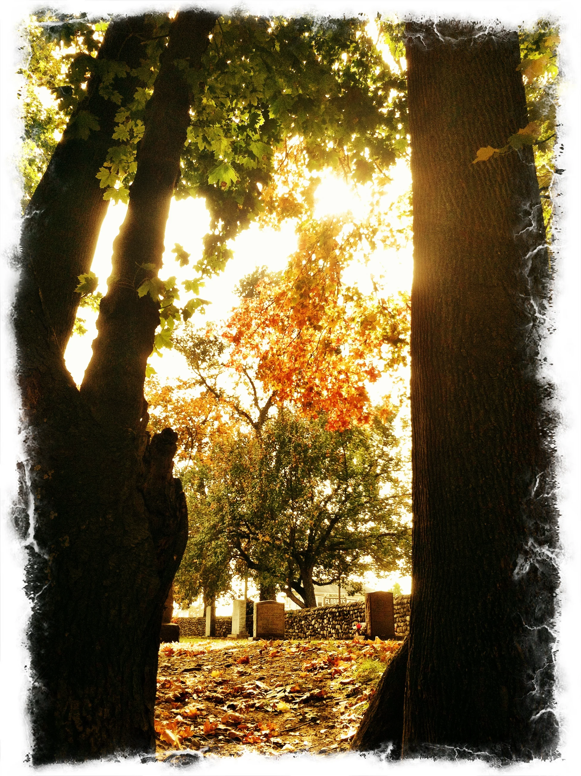 2013-05-17 001 486.JPG