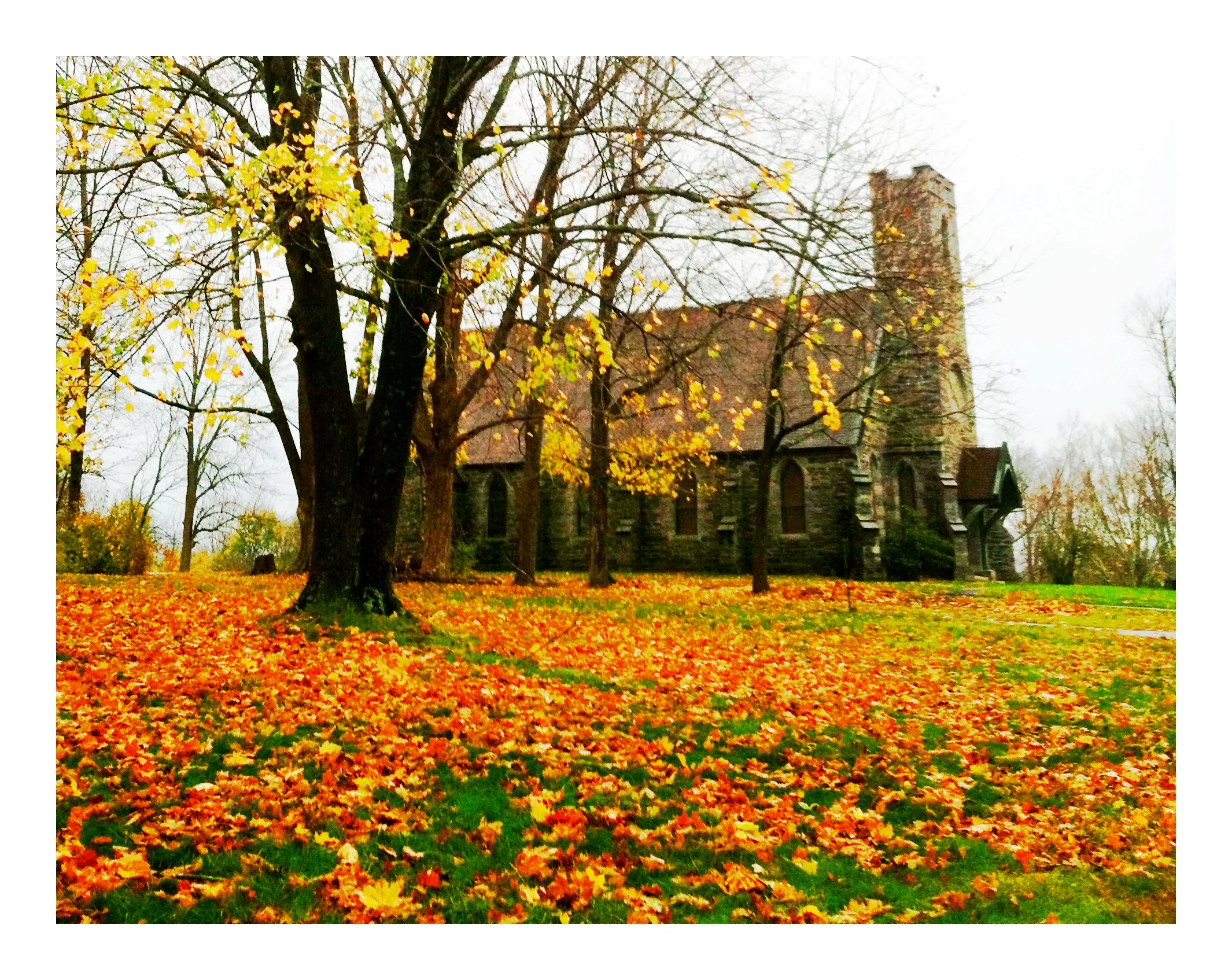 2013-05-17 001 561.JPG