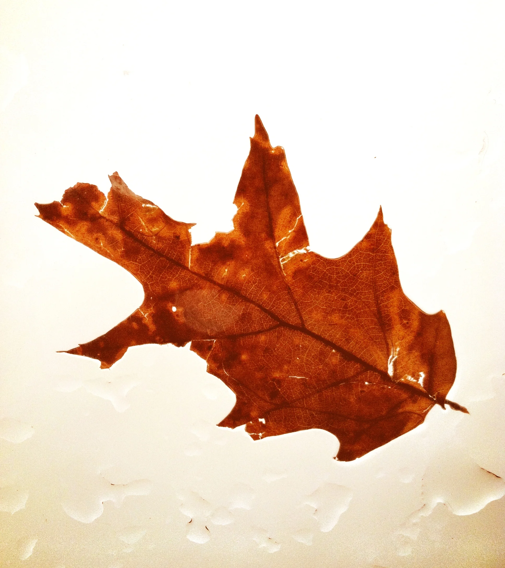 2013-05-17 001 650.JPG