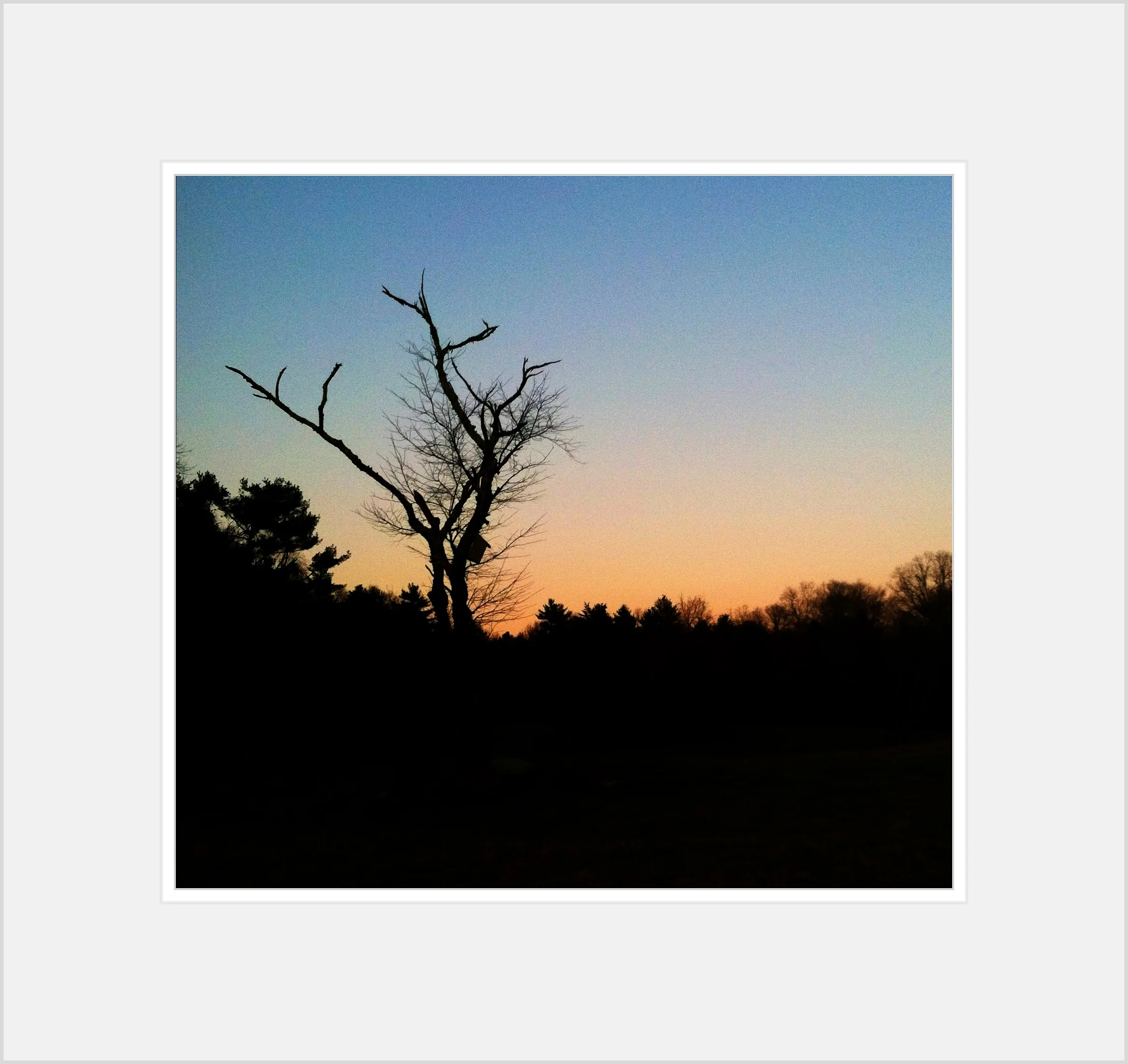 2013-05-17 001 678.JPG