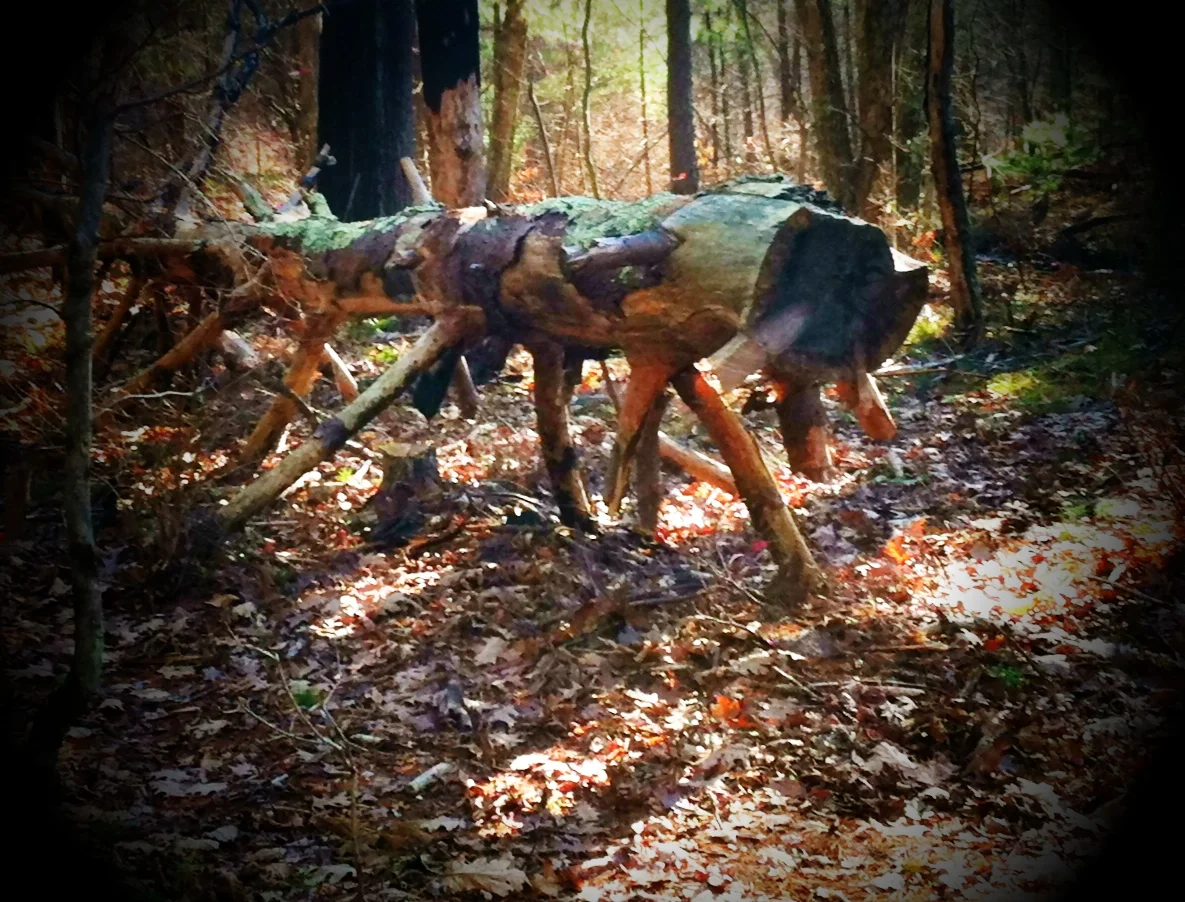 2013-05-17 001 779.JPG