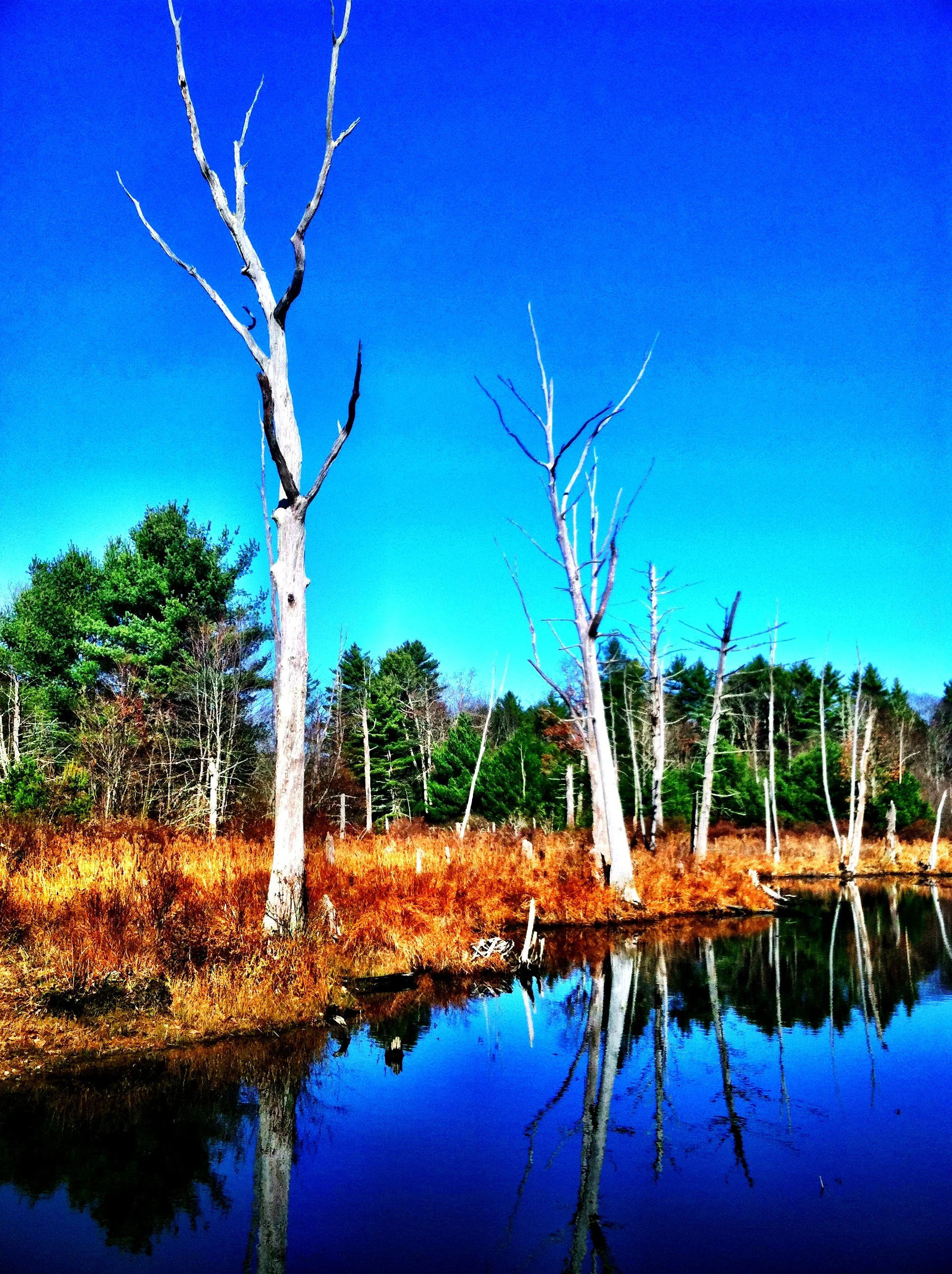 2013-05-17 001 787.JPG