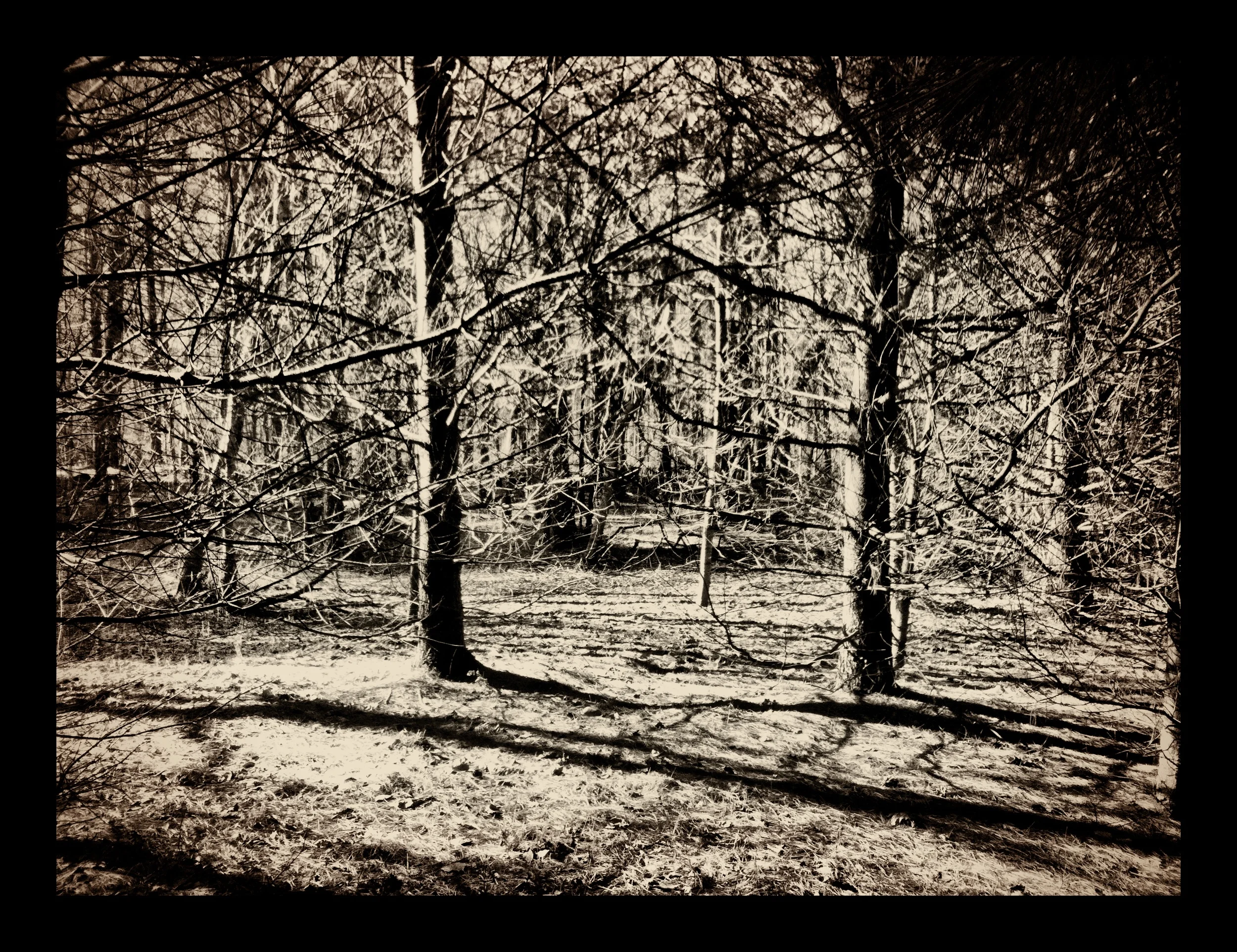 2013-05-17 001 794.JPG