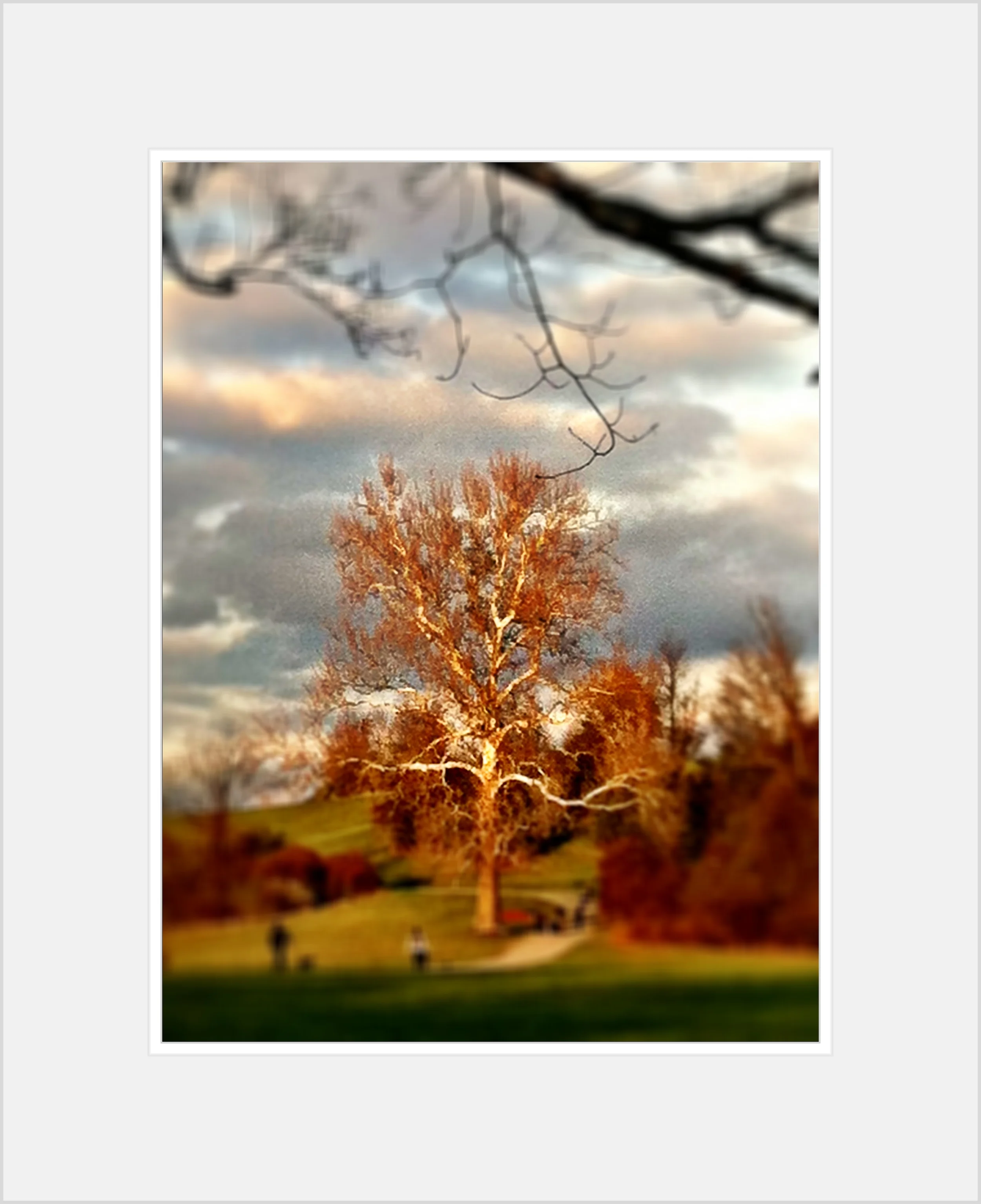 2013-05-17 001 848.JPG