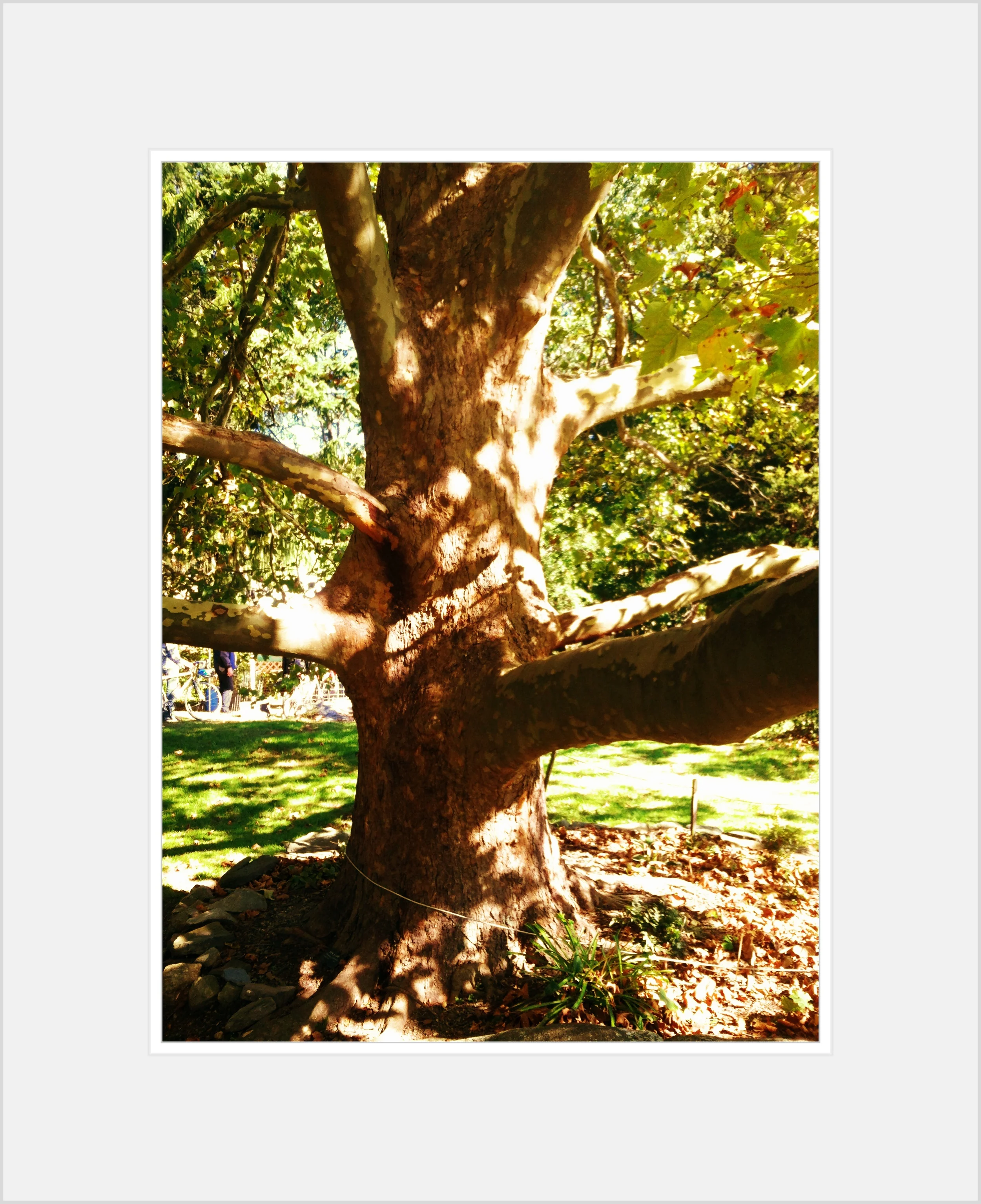 2013-05-17 001 850.JPG