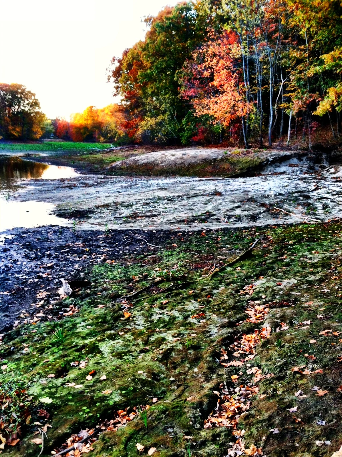 2013-05-17 001 855.JPG