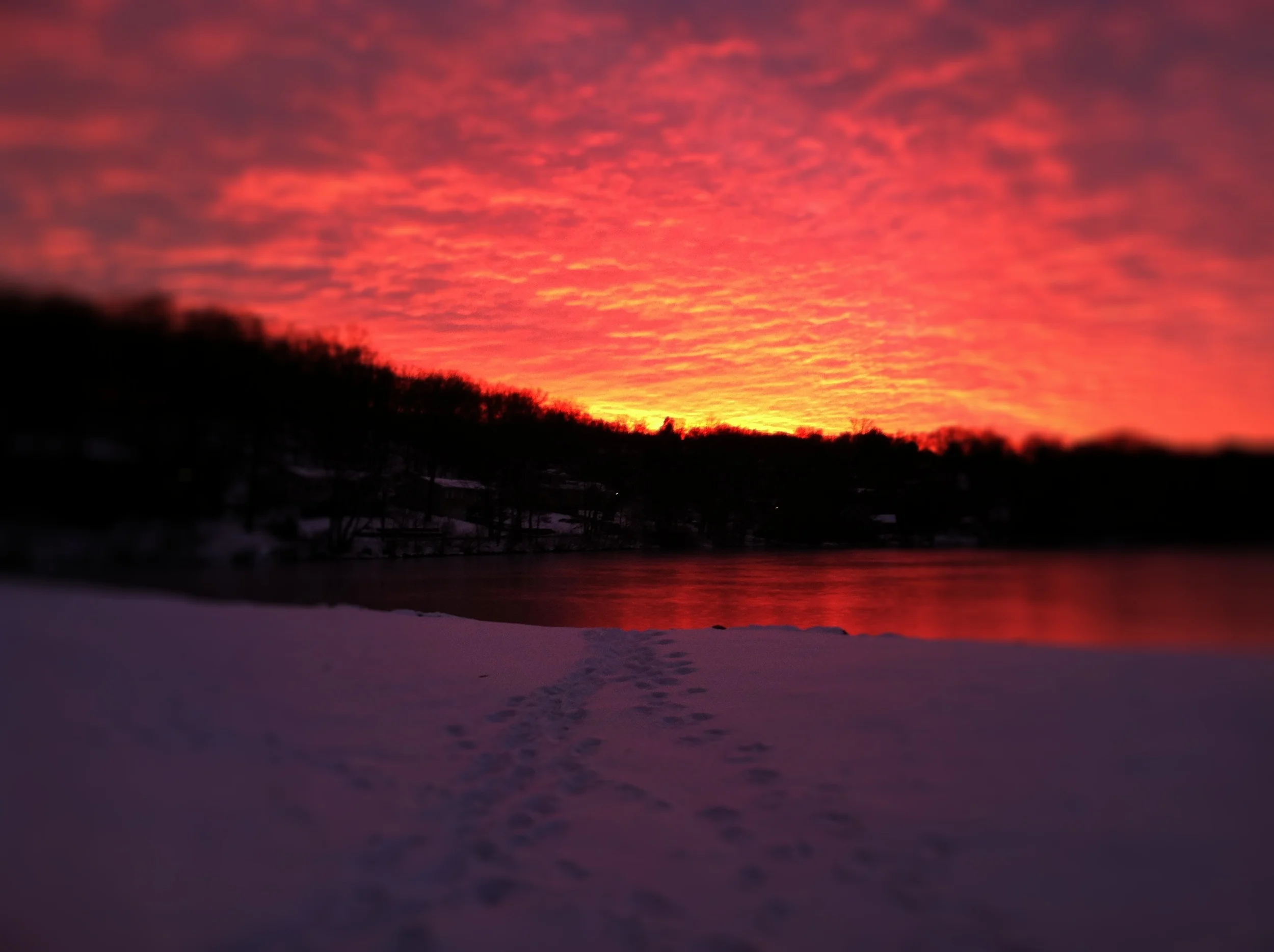 2013-05-17 001 875.JPG