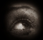 2013-05-17 001 528.JPG