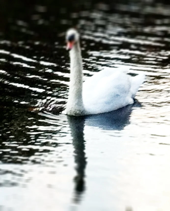 2013-05-17 001 269.JPG