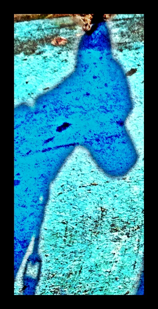 2013-05-17 001 058.JPG