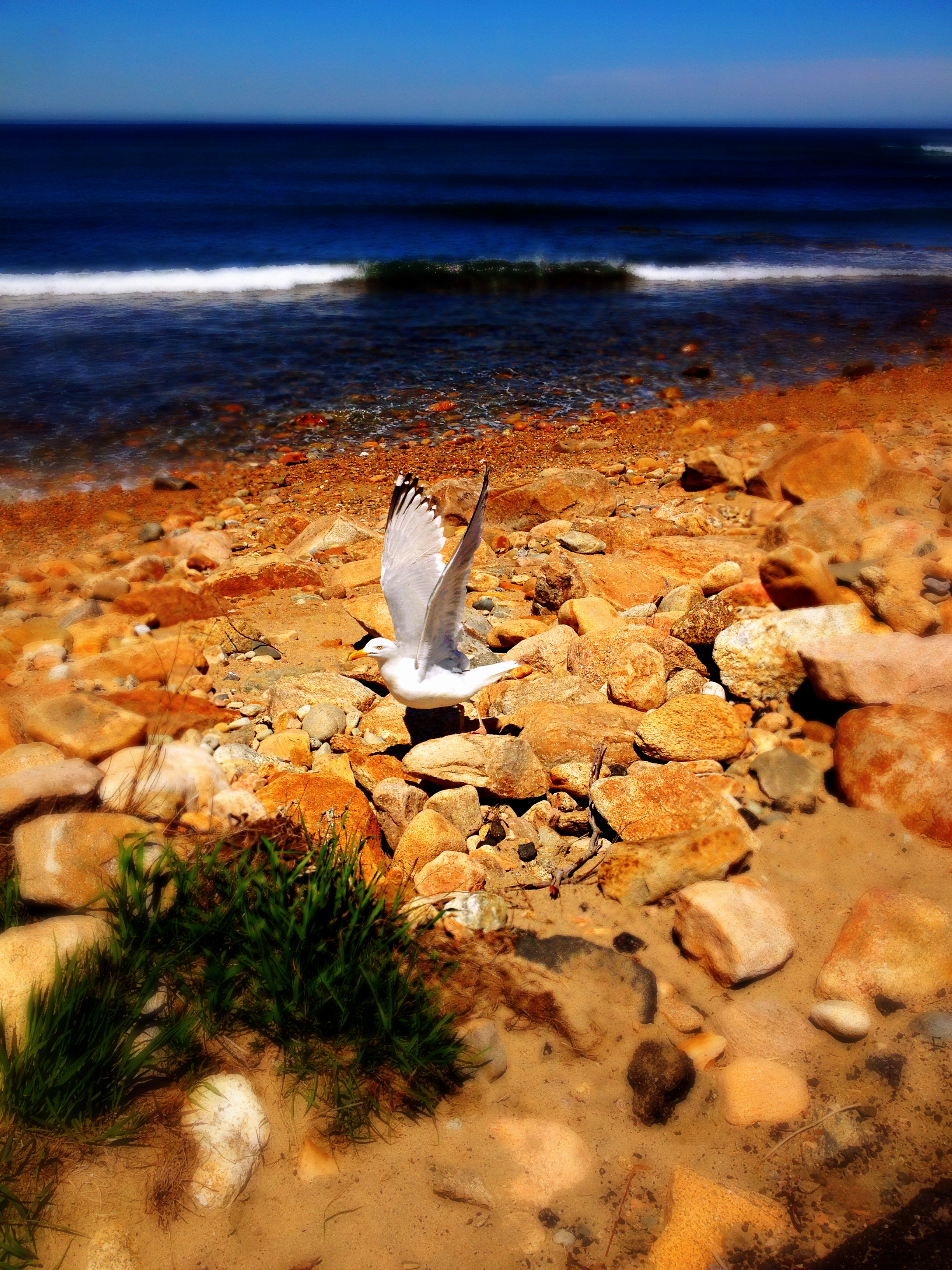 2014-05-17 13.33.30.jpg