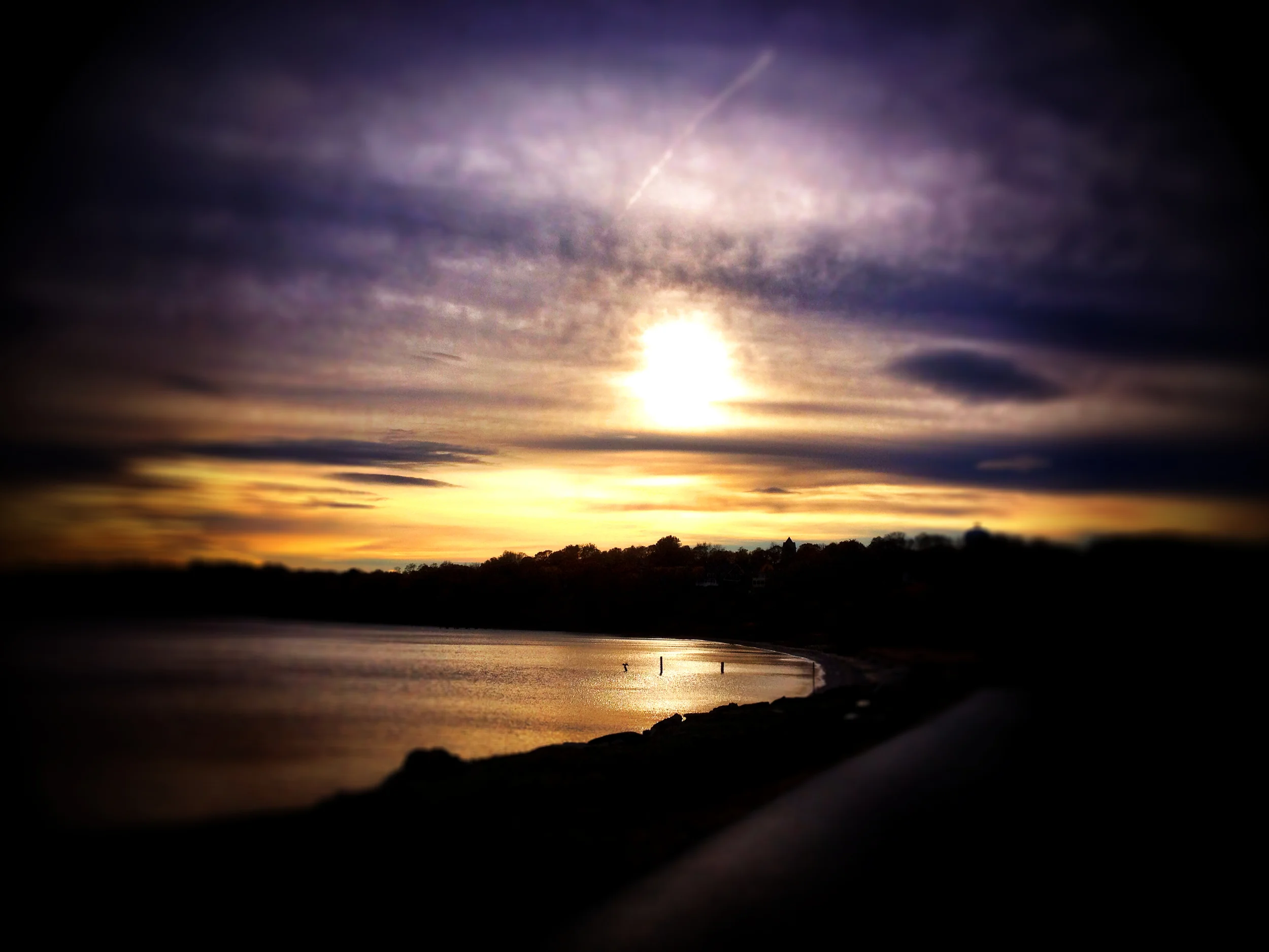 2014-11-02 15.20.26.jpg