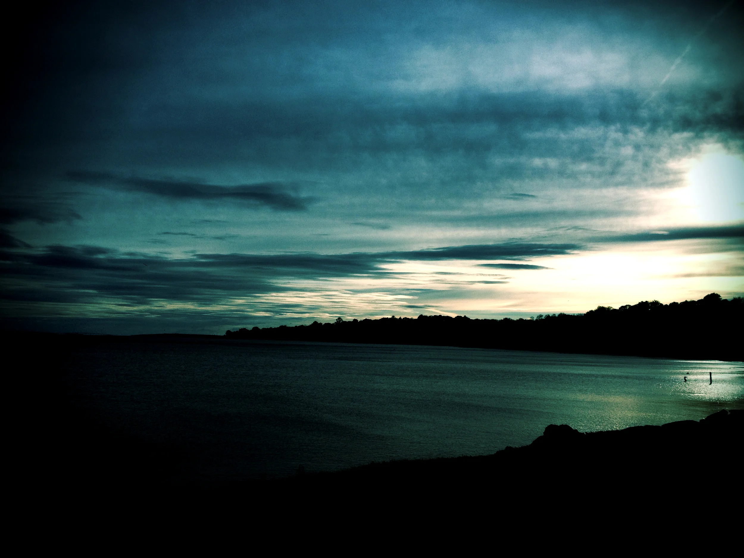 2014-11-02 15.20.59.jpg