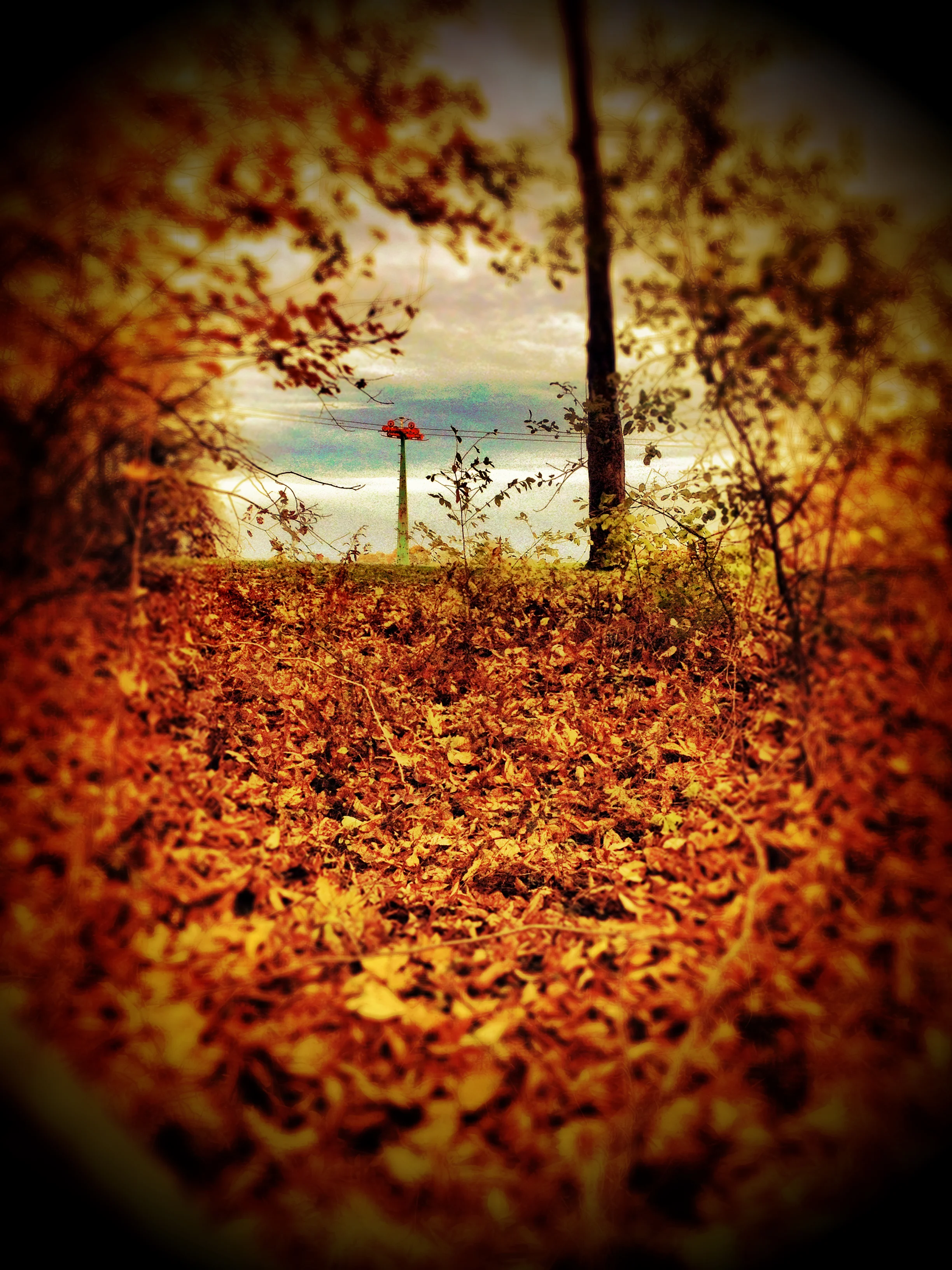 2014-11-02 15.33.59.jpg