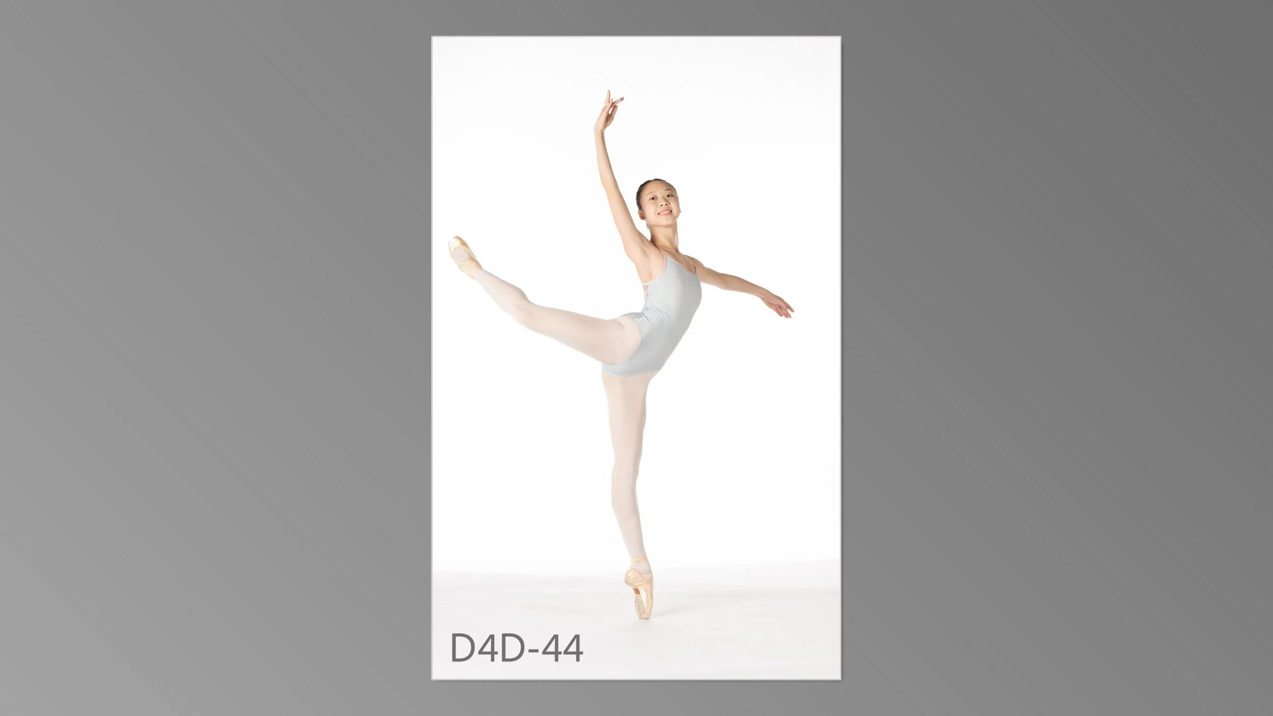 d4d-044.jpg