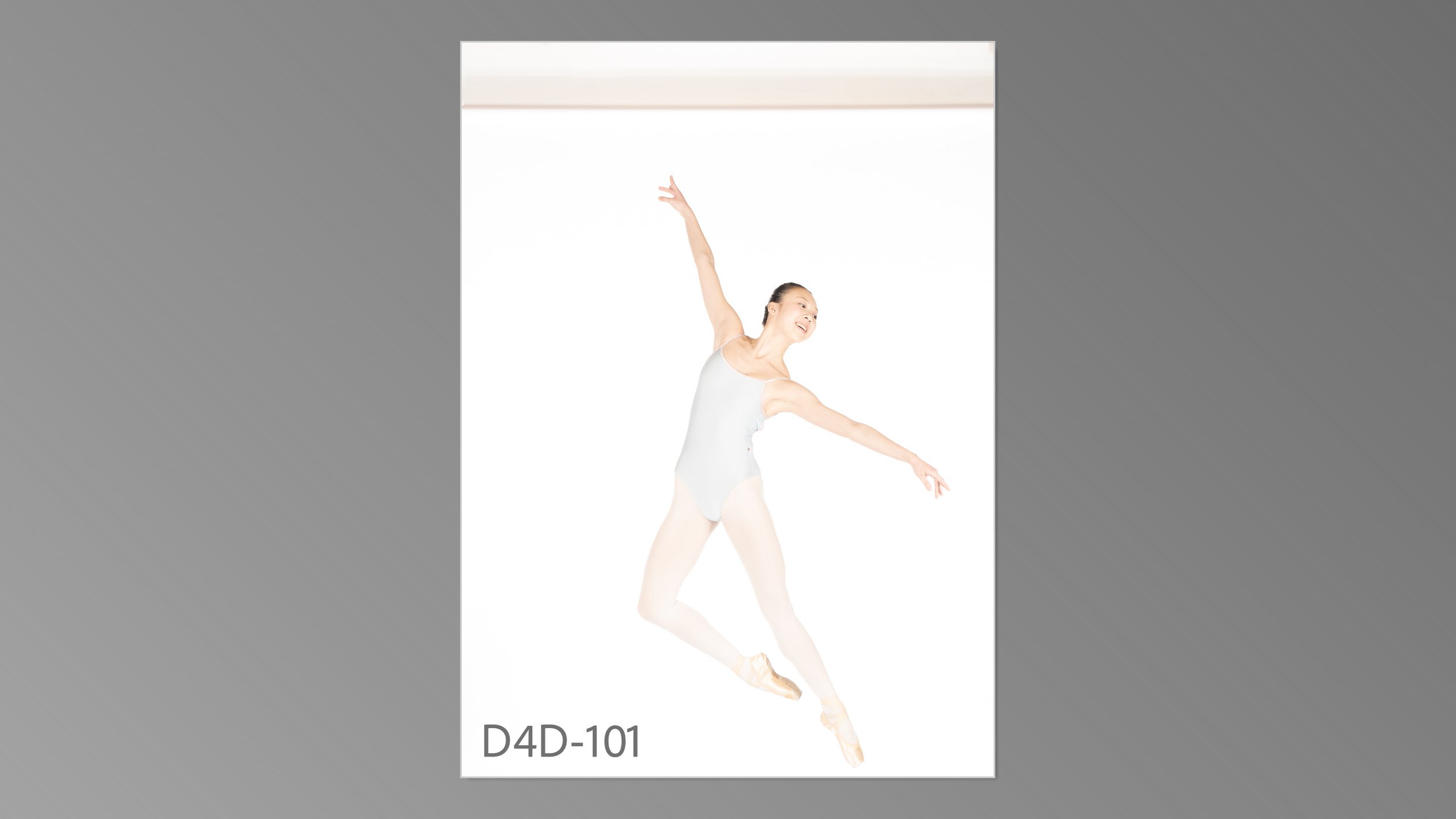 d4d-101.jpg