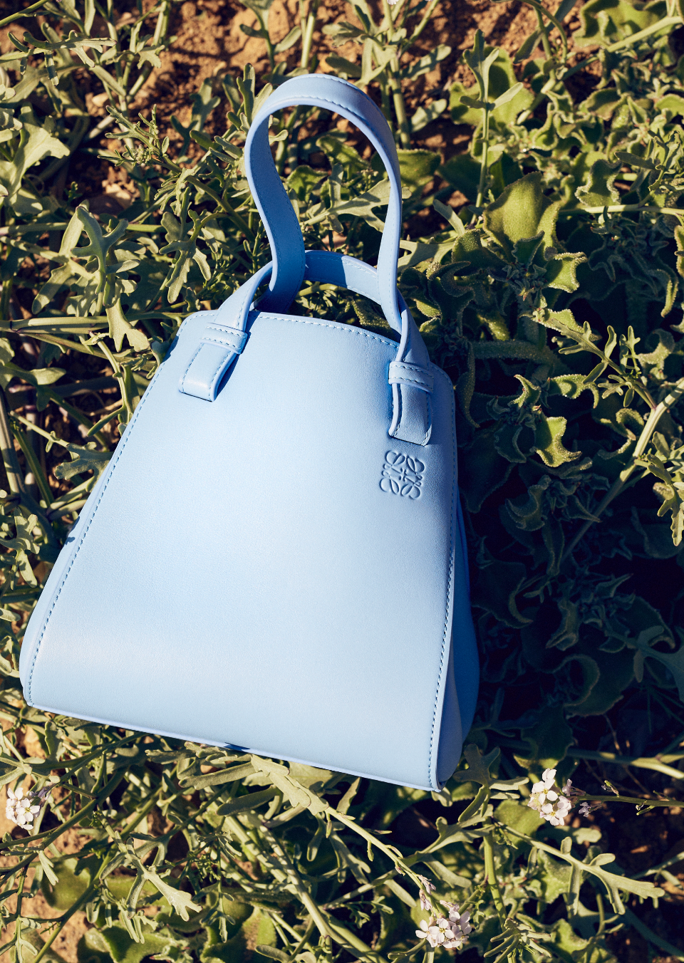 Screen Shot 2023-01-10 at 8.48.41 AM.png