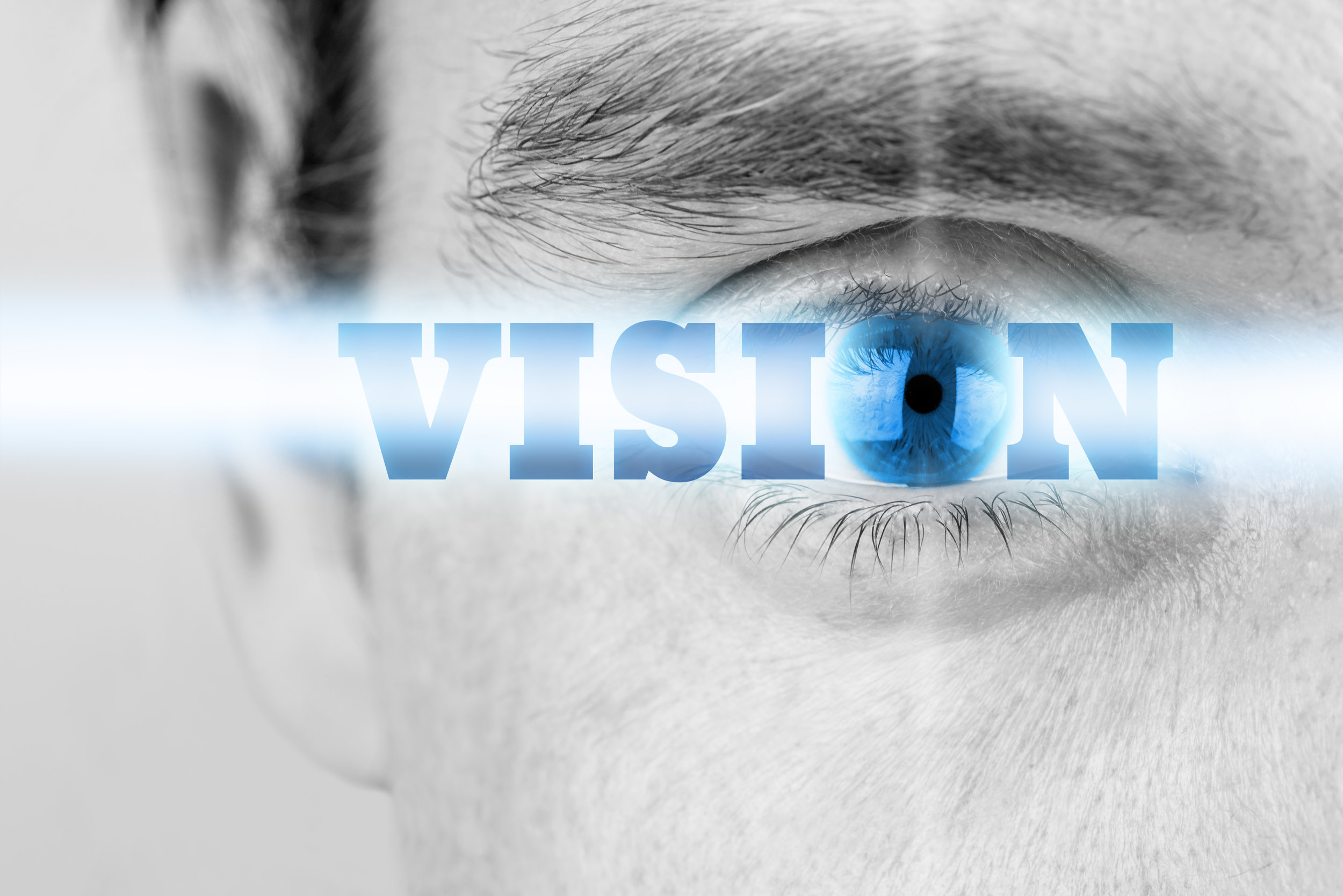 Vision