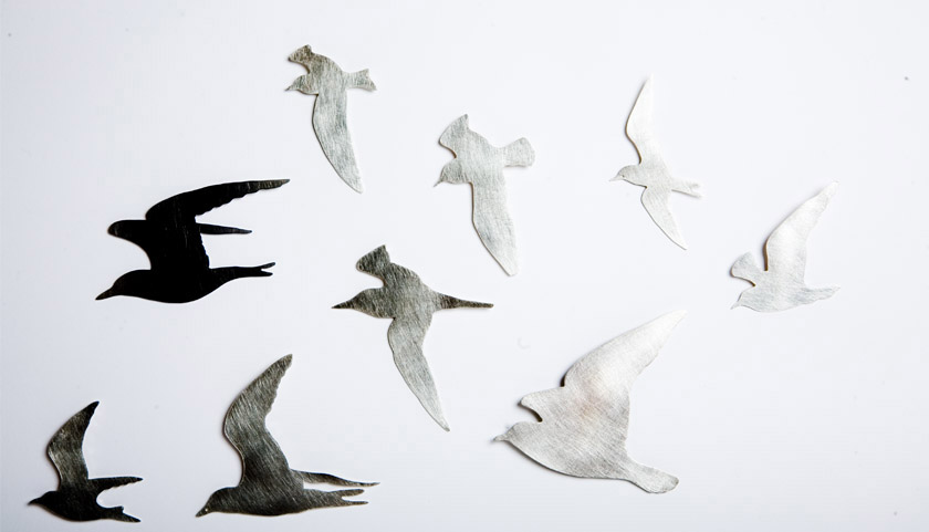 Anna Lewis Katami seagulls.jpg
