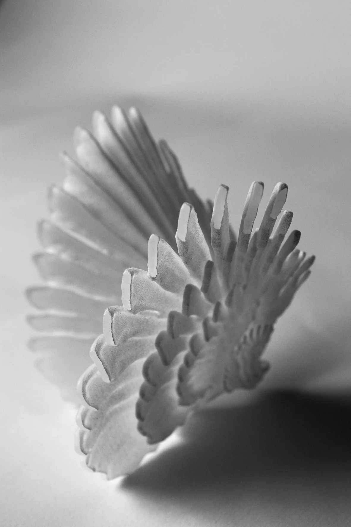 14-3dlargewing4.jpg