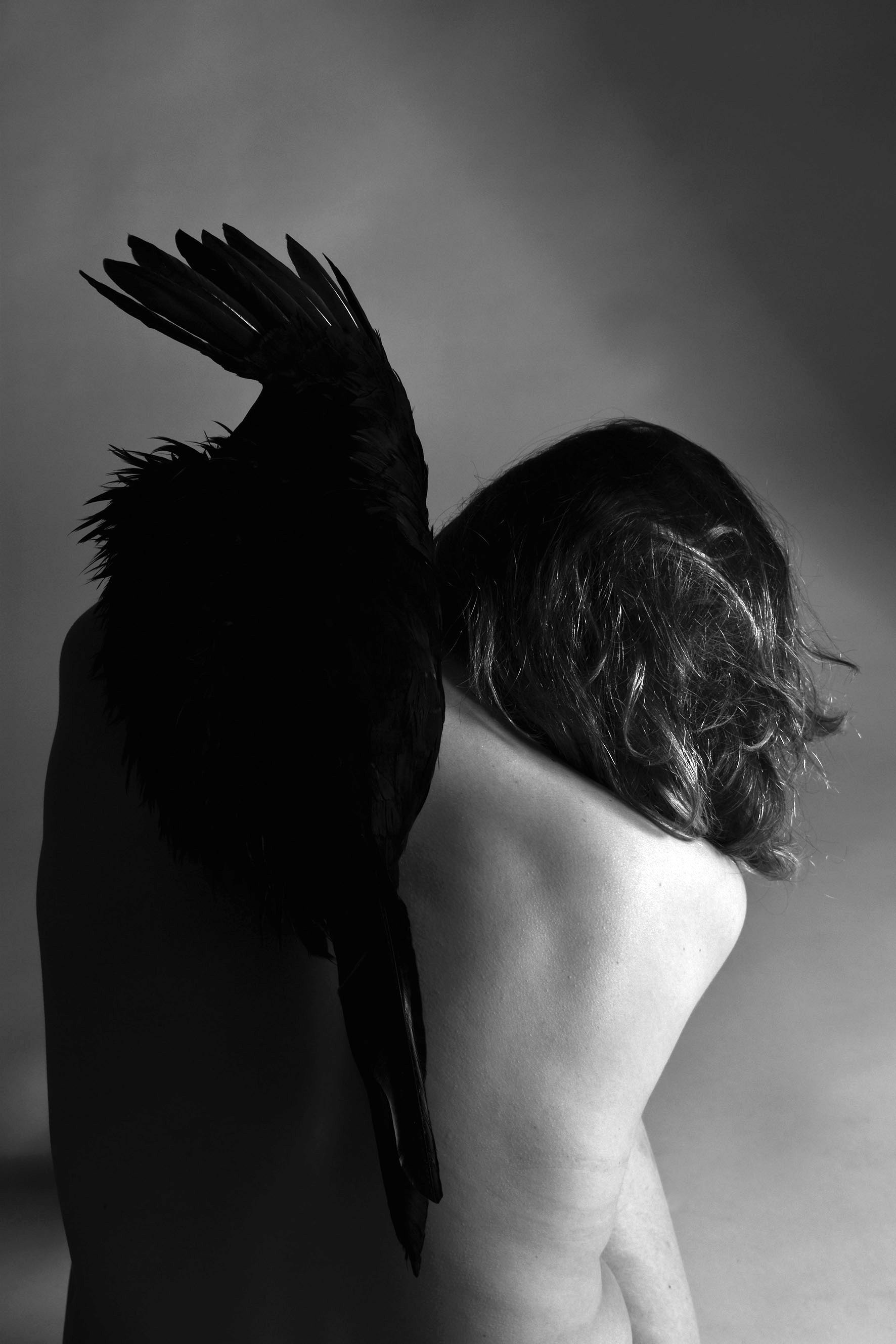 feather12.jpg