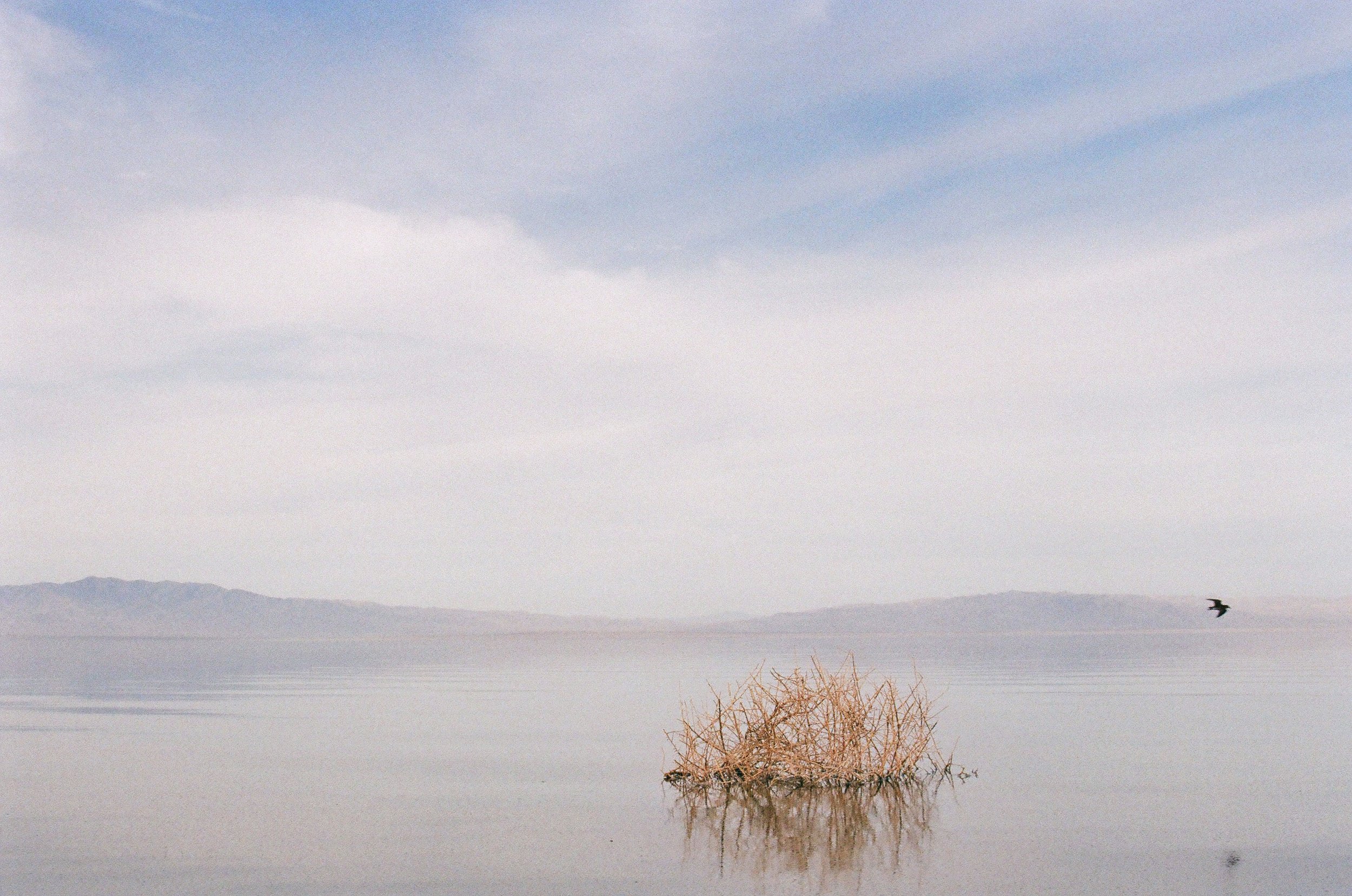 Desert Seascape