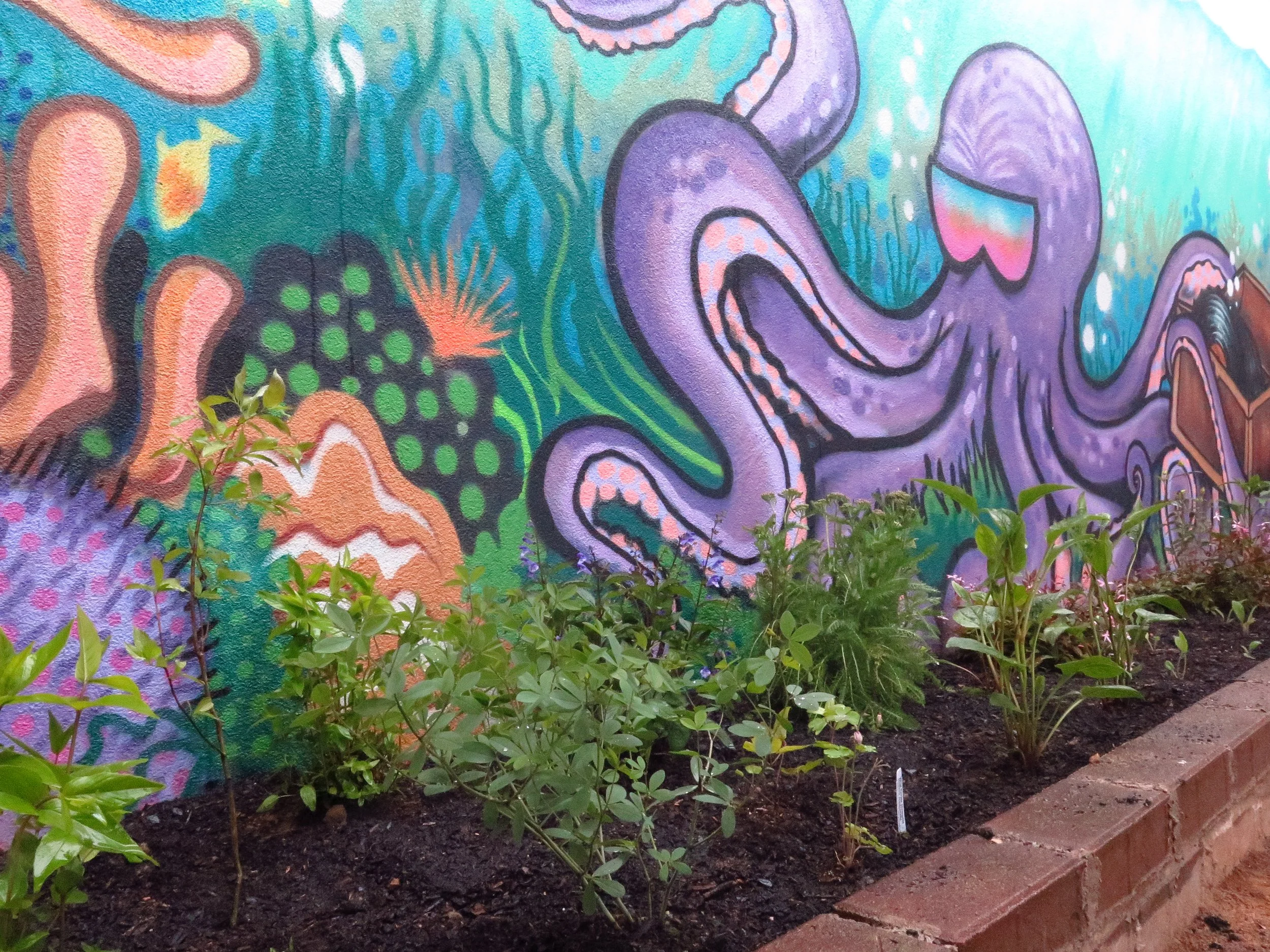 Native Landscape Design — FAMOUS MEADOW