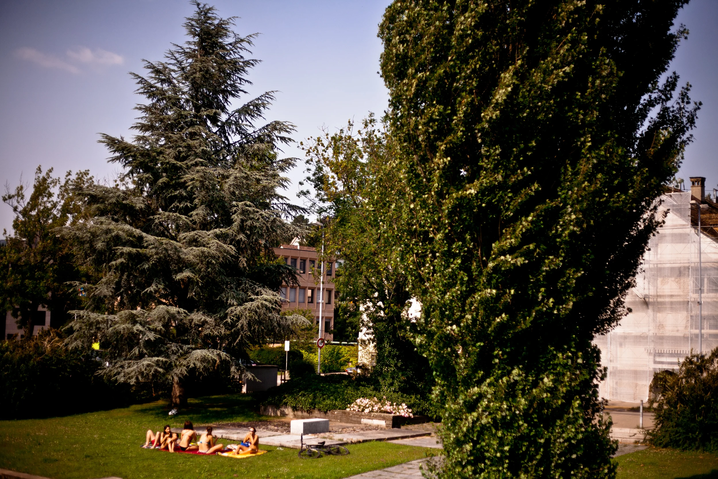 PICNIC1.jpg