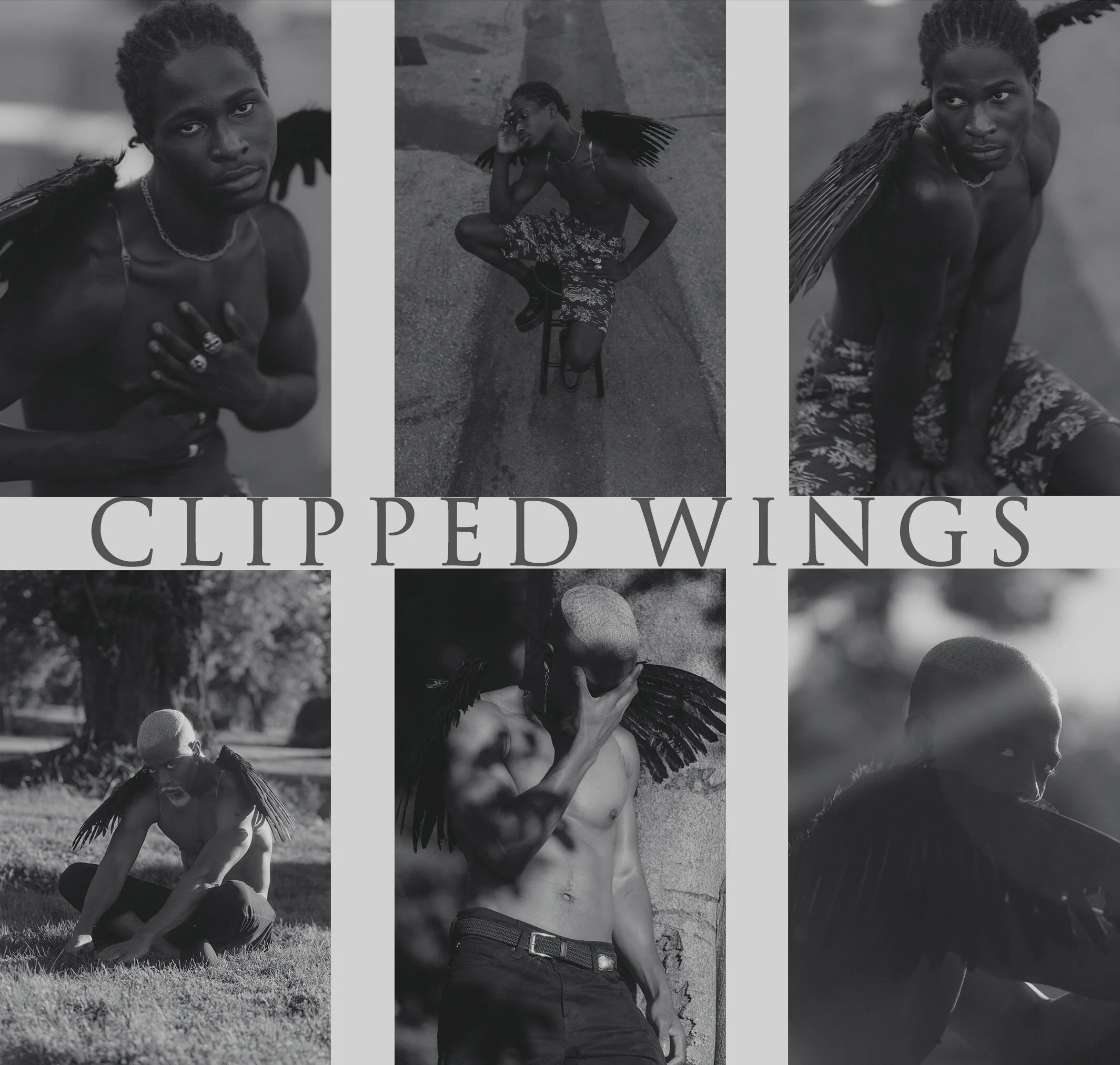 Clipped Wings : A Series