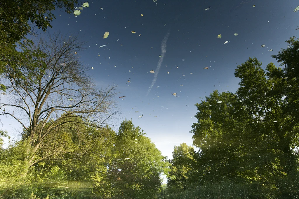 UMBRAL I-10.jpg