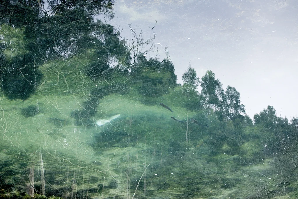 UMBRAL I-14.jpg