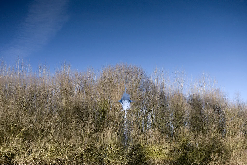 UMBRAL II-8.jpg
