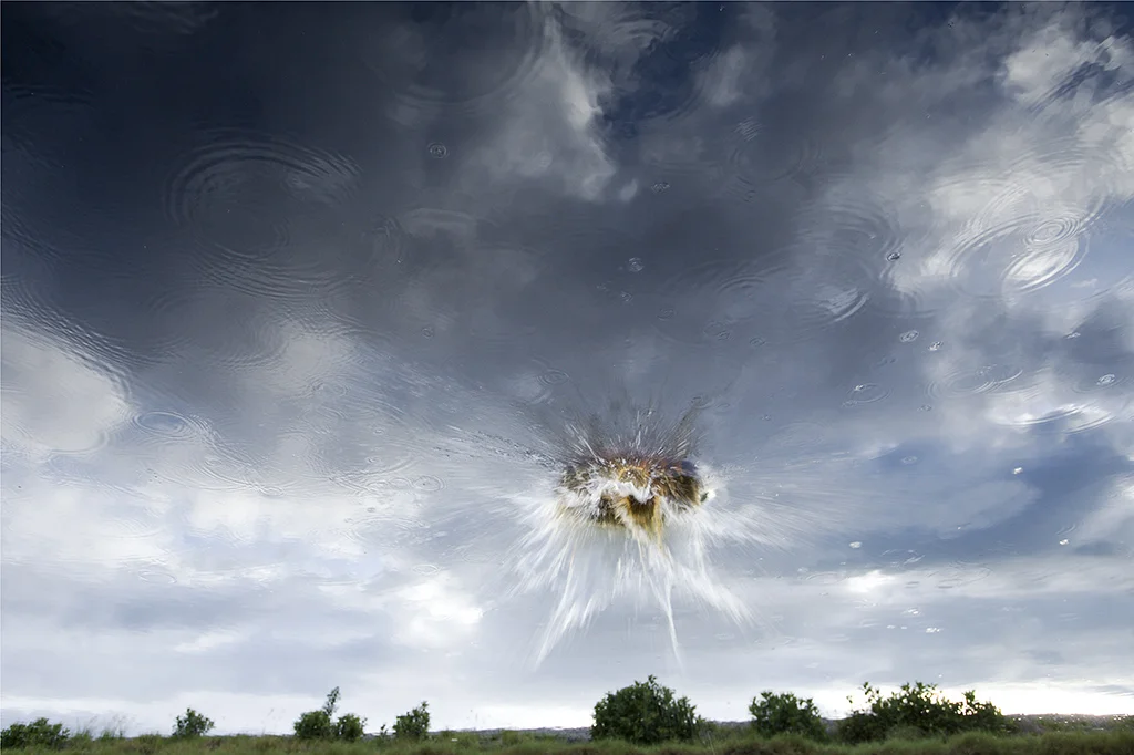 UMBRAL II-15.jpg